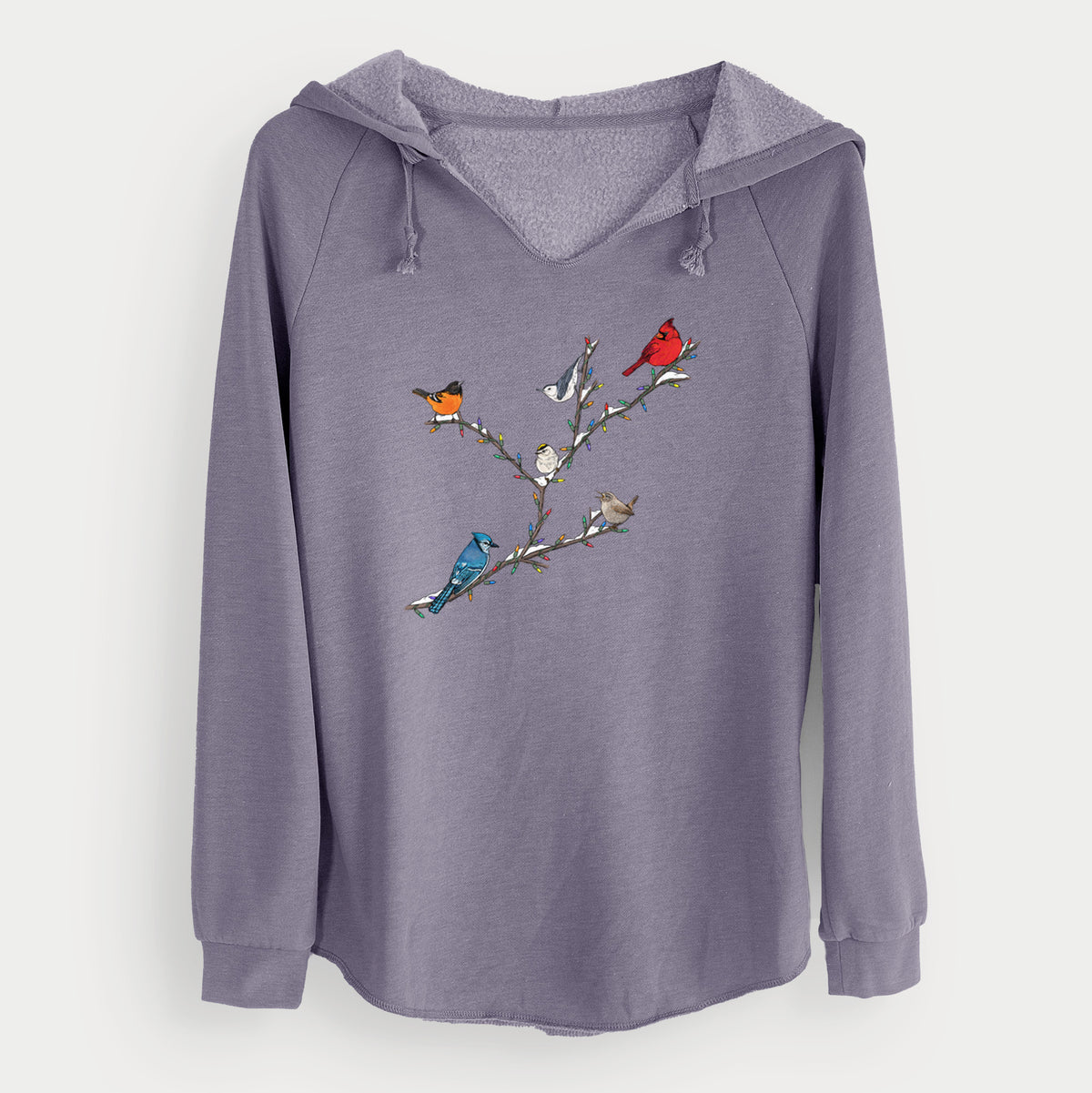 Christmas Backyard Birds - Cali Wave Hooded Sweatshirt