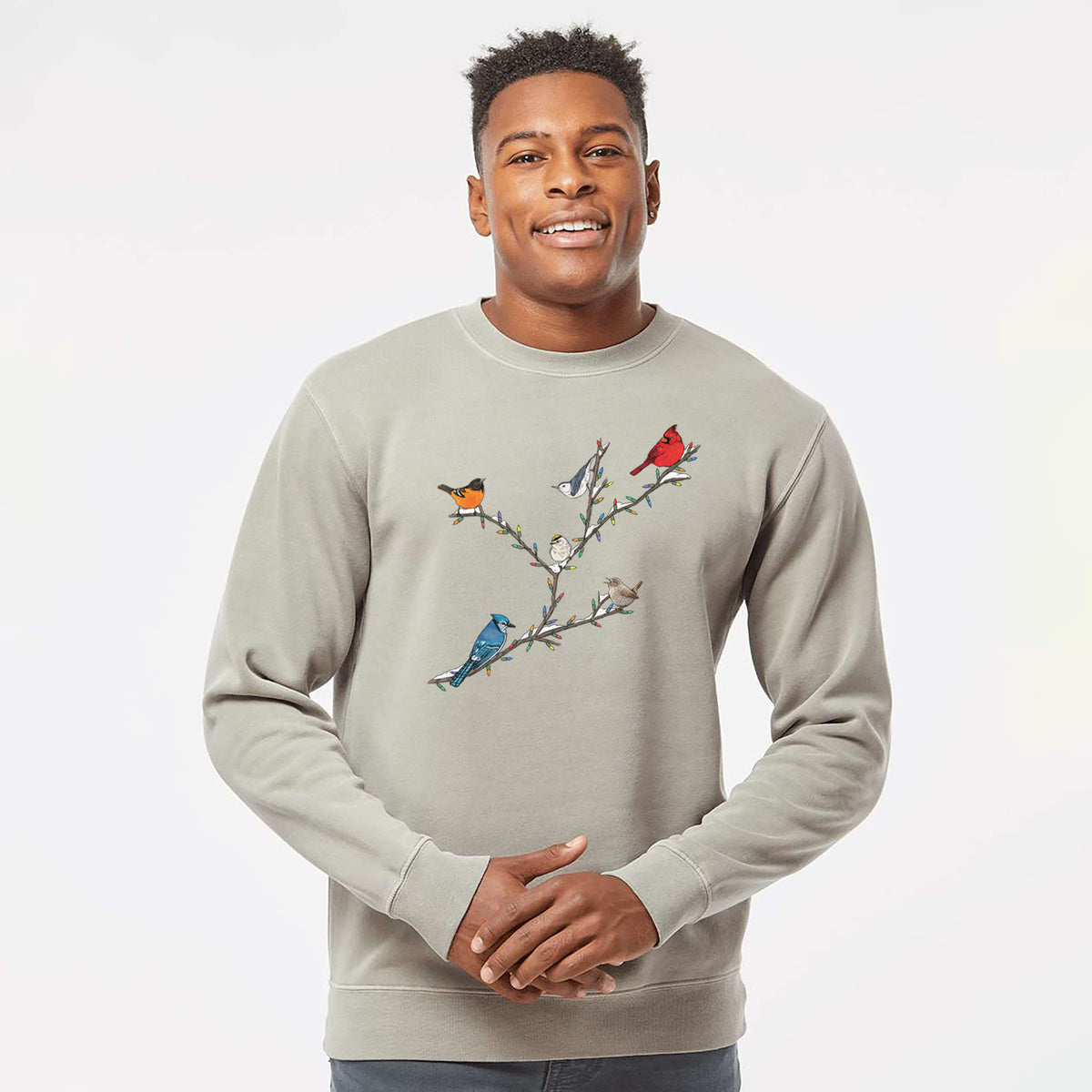 Christmas Backyard Birds - Unisex Pigment Dyed Crew Sweatshirt