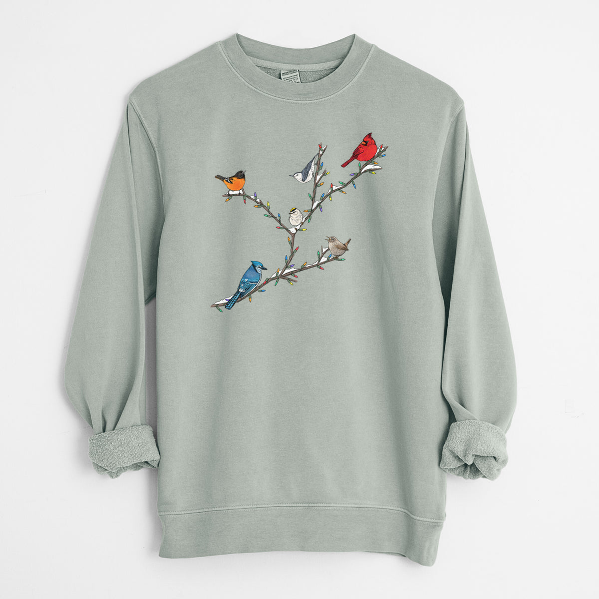 Christmas Backyard Birds - Unisex Pigment Dyed Crew Sweatshirt