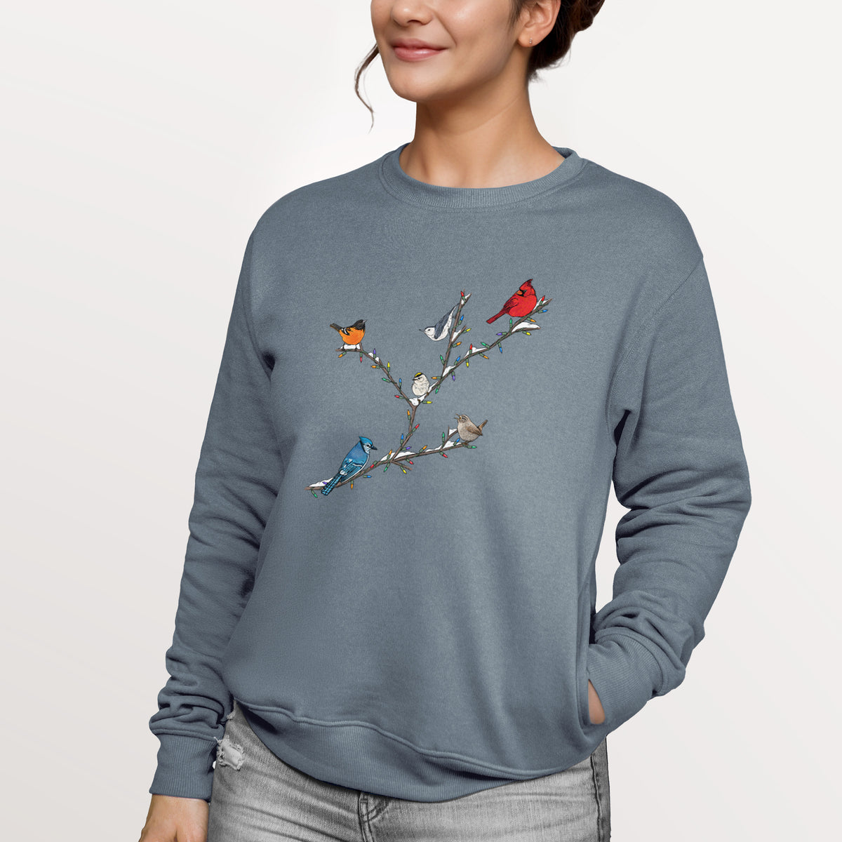 Christmas Backyard Birds  - Unisex Reclaimed Crewneck Sweatshirt