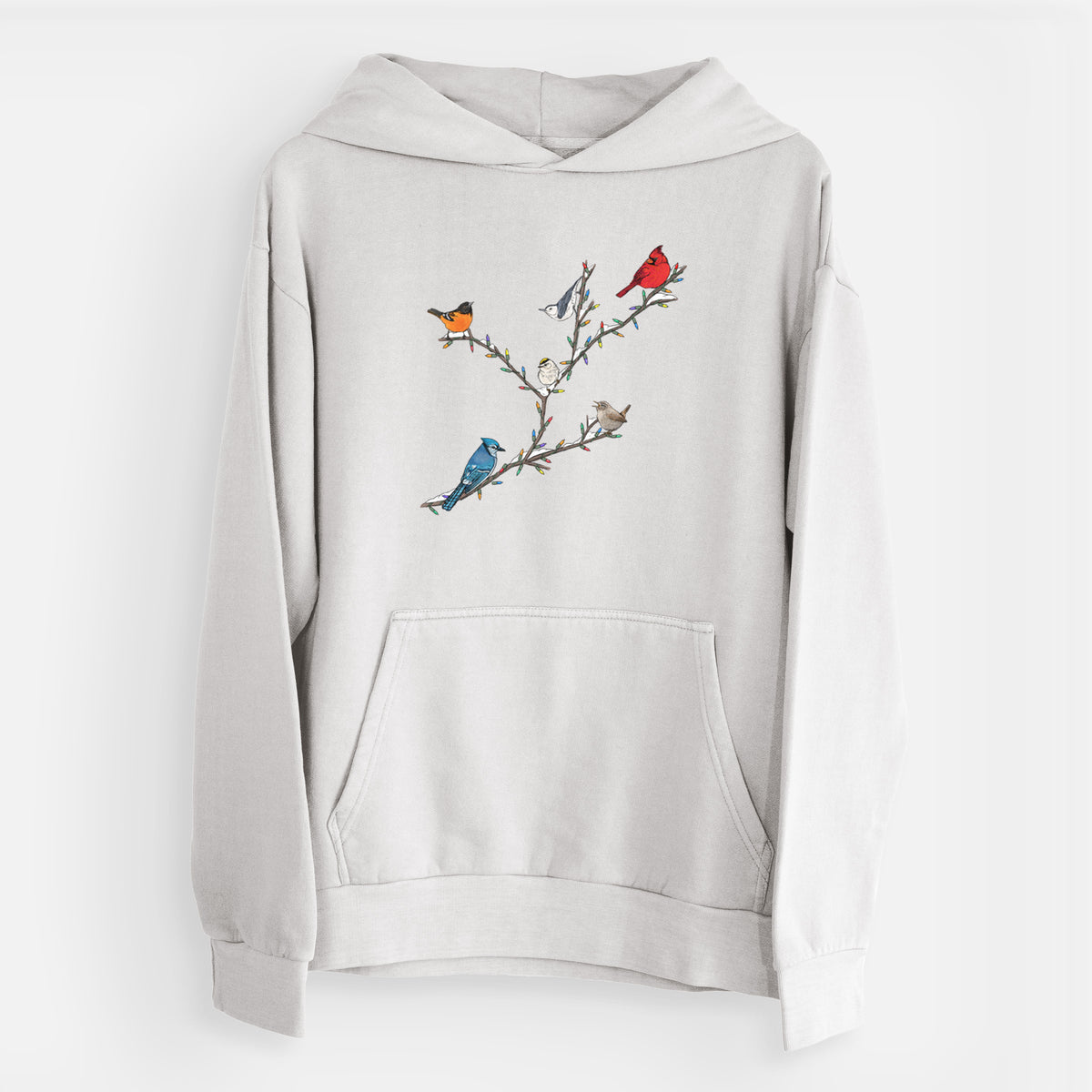 Christmas Backyard Birds  - Urban Heavyweight Hoodie