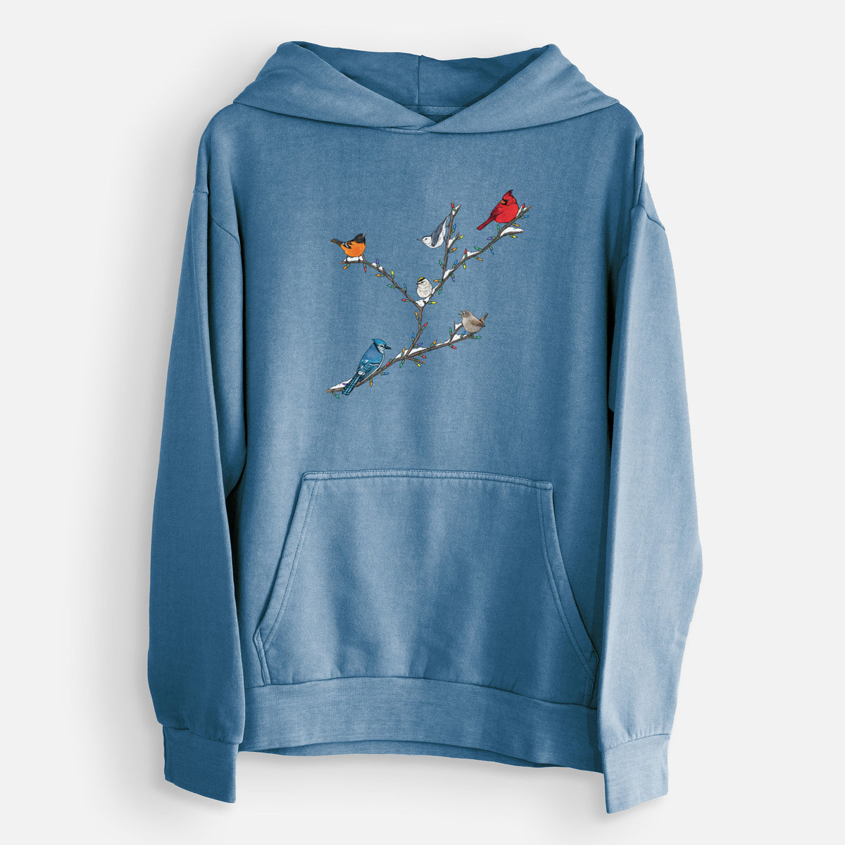 Christmas Backyard Birds  - Urban Heavyweight Hoodie