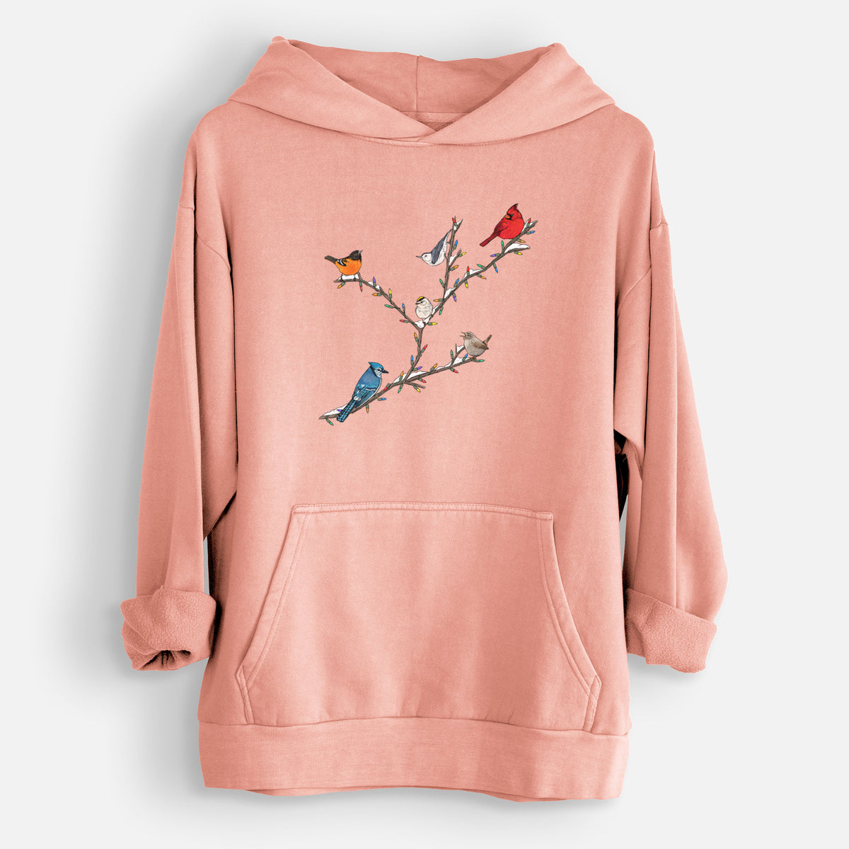 Christmas Backyard Birds  - Urban Heavyweight Hoodie