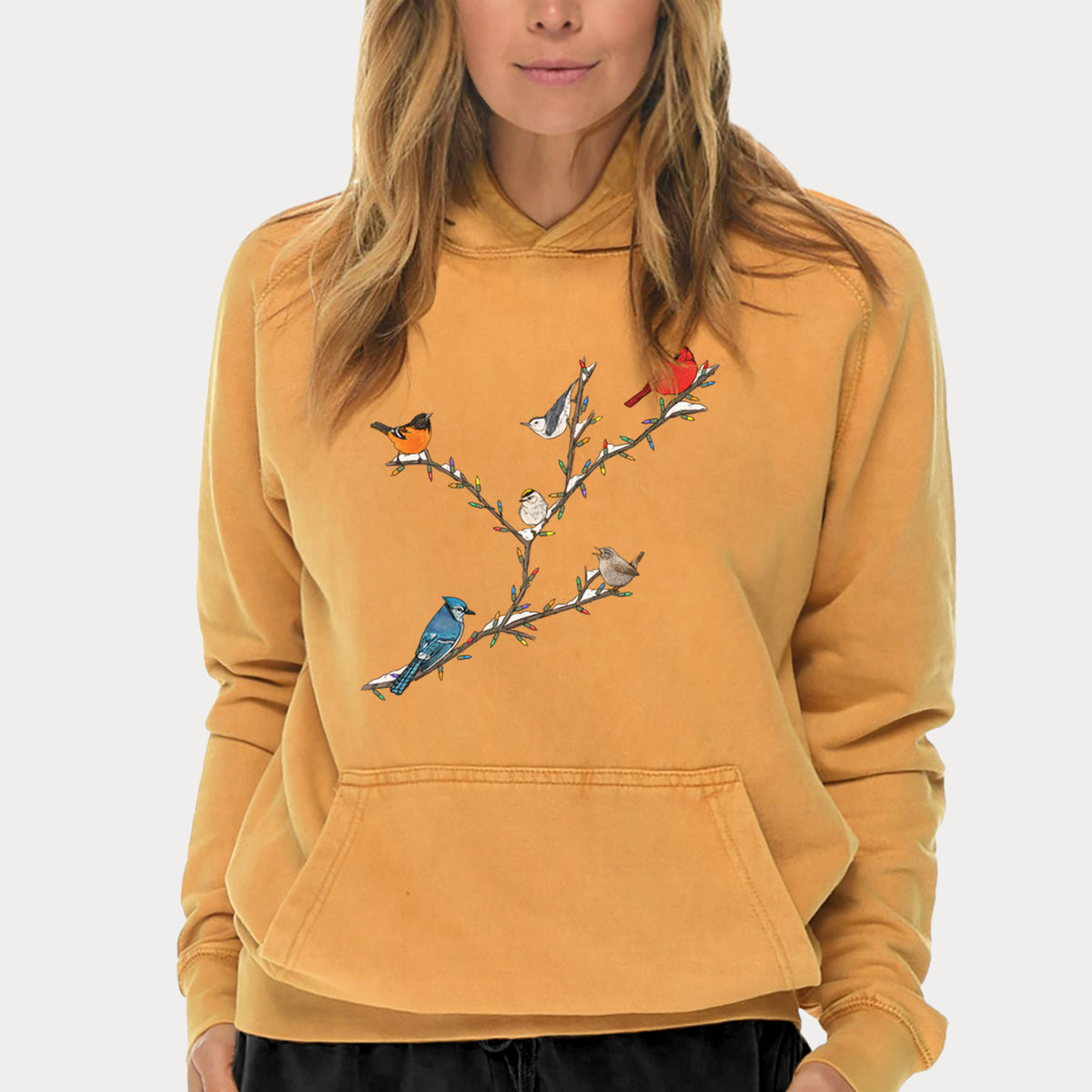 Christmas Backyard Birds  - Mid-Weight Unisex Vintage 100% Cotton Hoodie