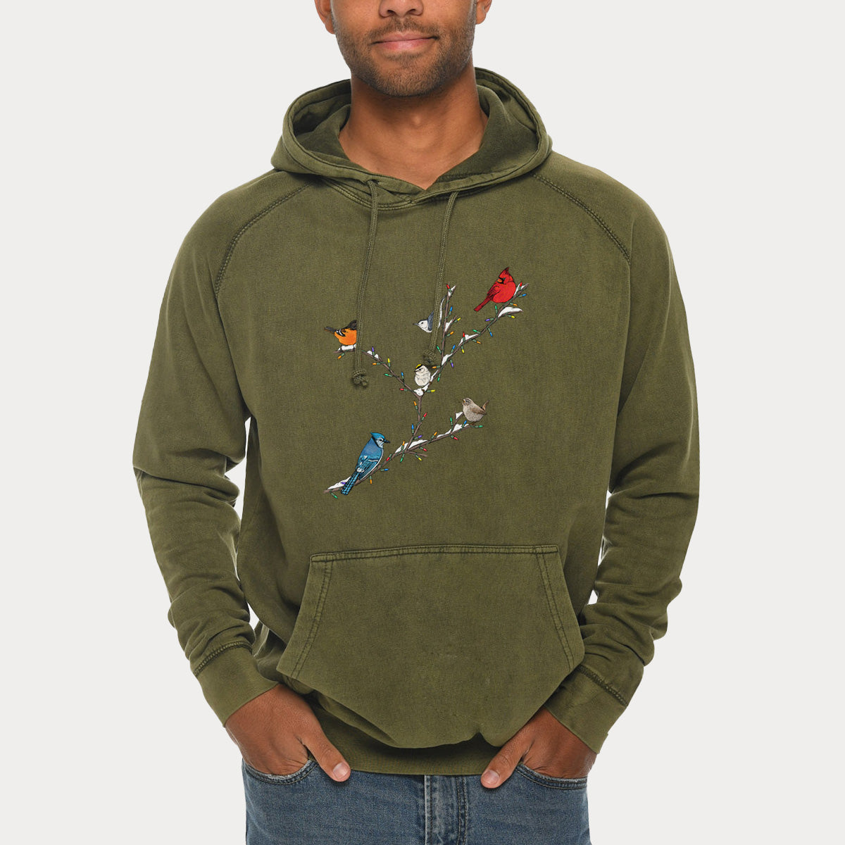 Christmas Backyard Birds  - Mid-Weight Unisex Vintage 100% Cotton Hoodie