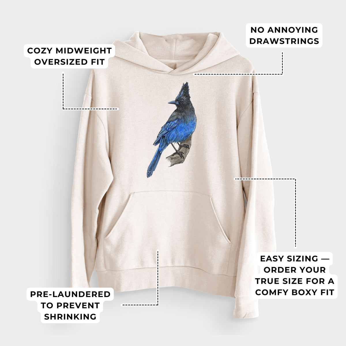 Vibrant Coastal Steller&#39;s Jay - Cyanocitta stelleri  - Bodega Midweight Hoodie