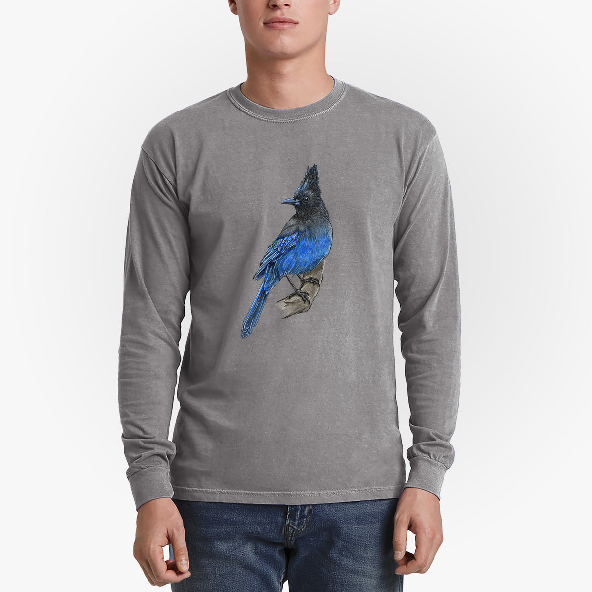 Vibrant Coastal Steller&#39;s Jay - Cyanocitta stelleri - Men&#39;s Heavyweight 100% Cotton Long Sleeve