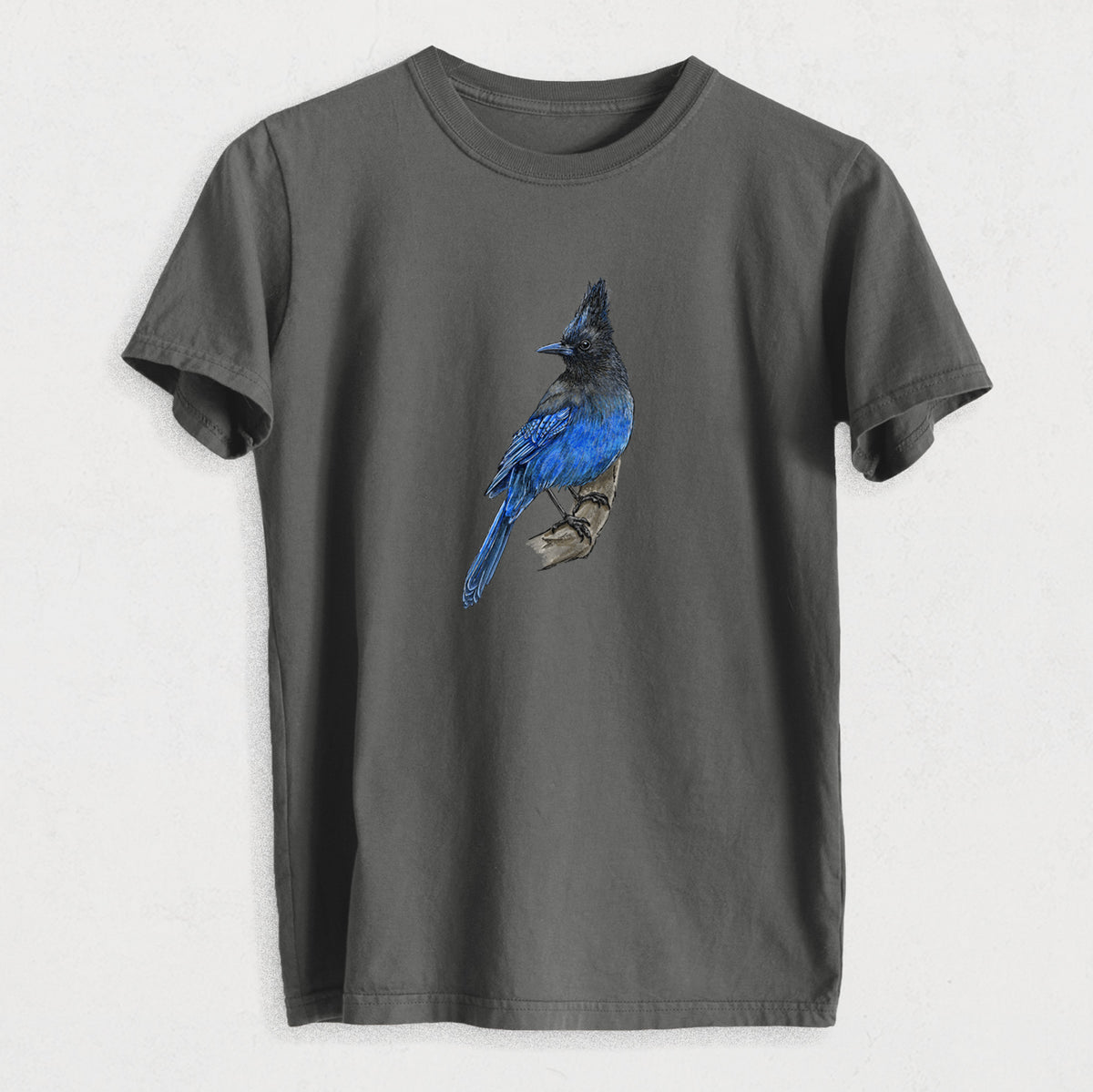 Vibrant Coastal Steller&#39;s Jay - Cyanocitta stelleri - Heavyweight Men&#39;s 100% Organic Cotton Tee