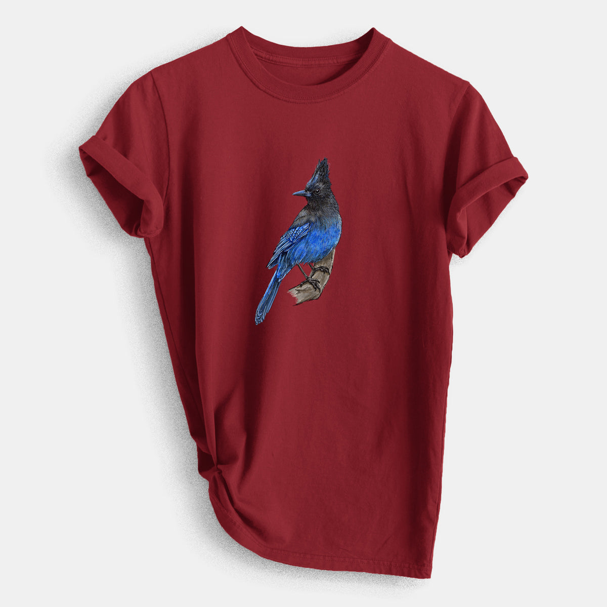 Vibrant Coastal Steller&#39;s Jay - Cyanocitta stelleri - Heavyweight Men&#39;s 100% Organic Cotton Tee