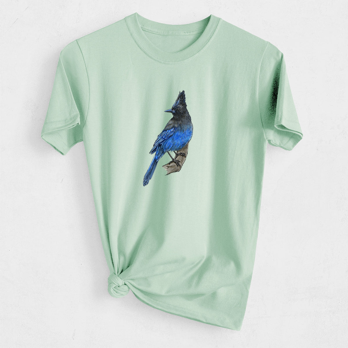 Vibrant Coastal Steller&#39;s Jay - Cyanocitta stelleri - Heavyweight Men&#39;s 100% Organic Cotton Tee