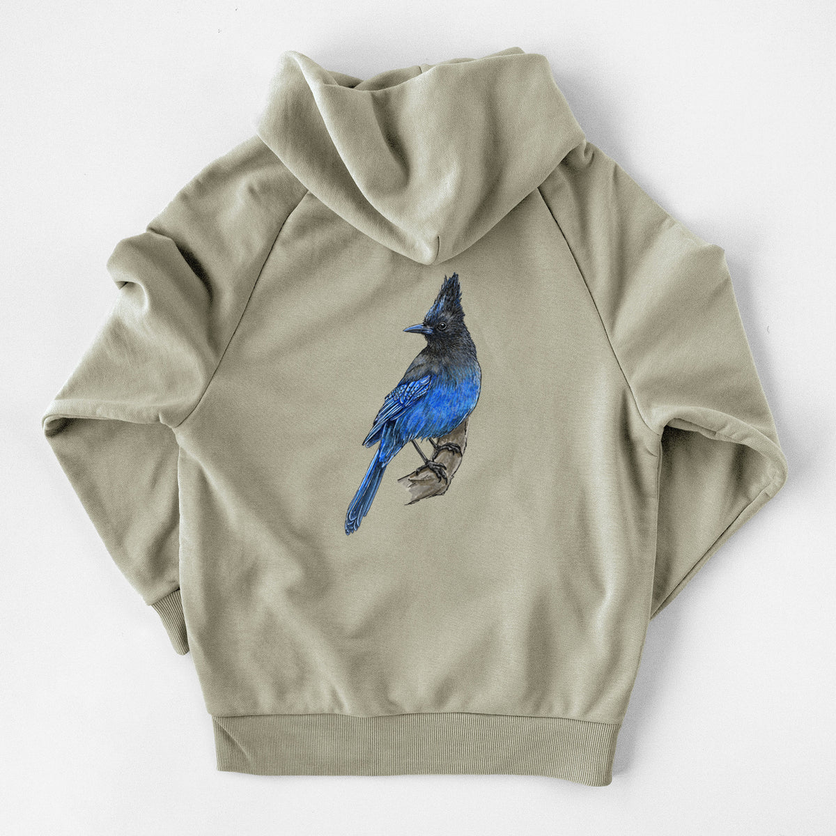 Vibrant Coastal Steller&#39;s Jay - Cyanocitta stelleri - UltraLuxe Heavyweight French Terry Hoodie