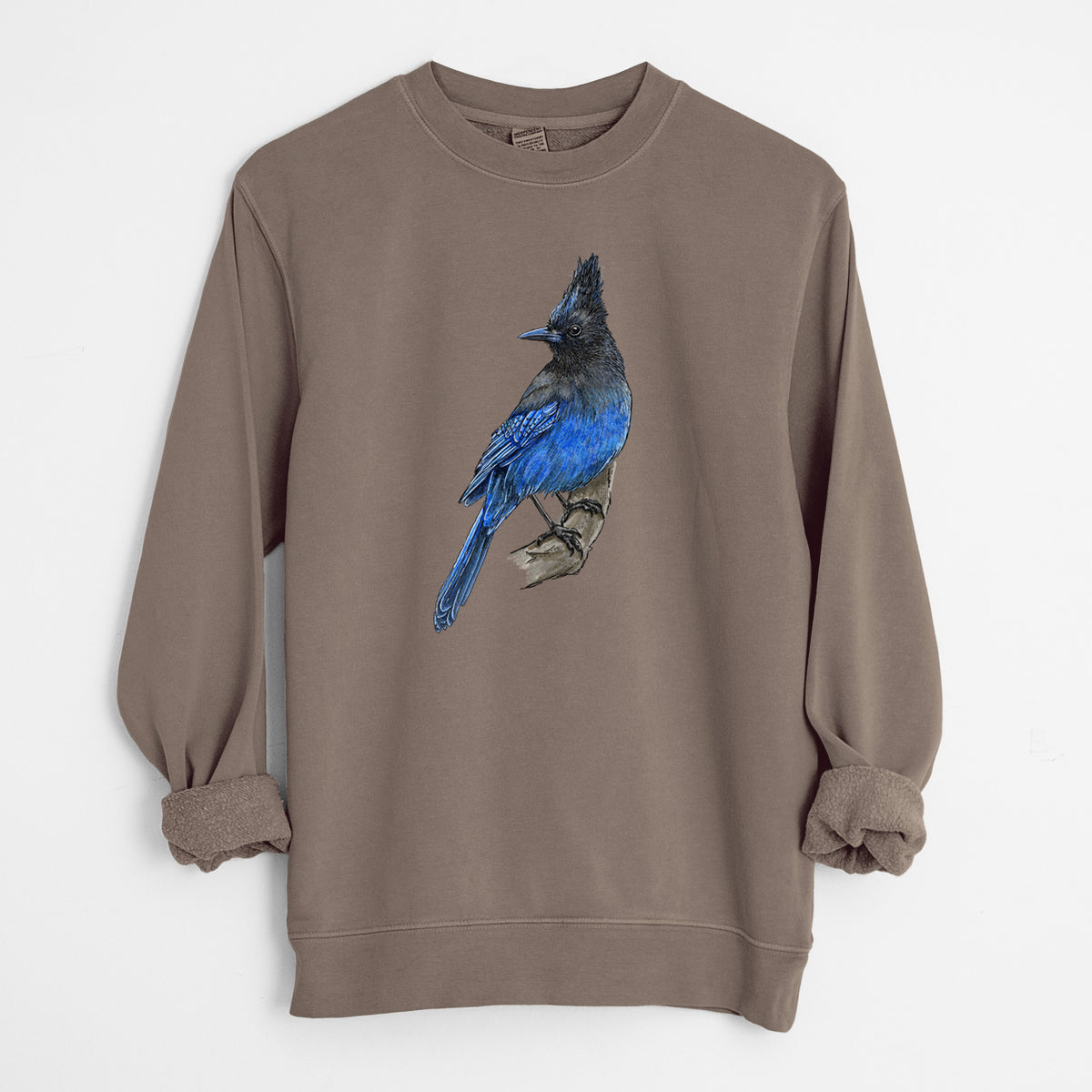 Vibrant Coastal Steller's Jay - Cyanocitta stelleri - Unisex Pigment Dyed Crew Sweatshirt in Espresso