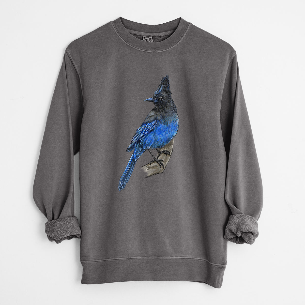 Vibrant Coastal Steller&#39;s Jay - Cyanocitta stelleri - Unisex Pigment Dyed Crew Sweatshirt