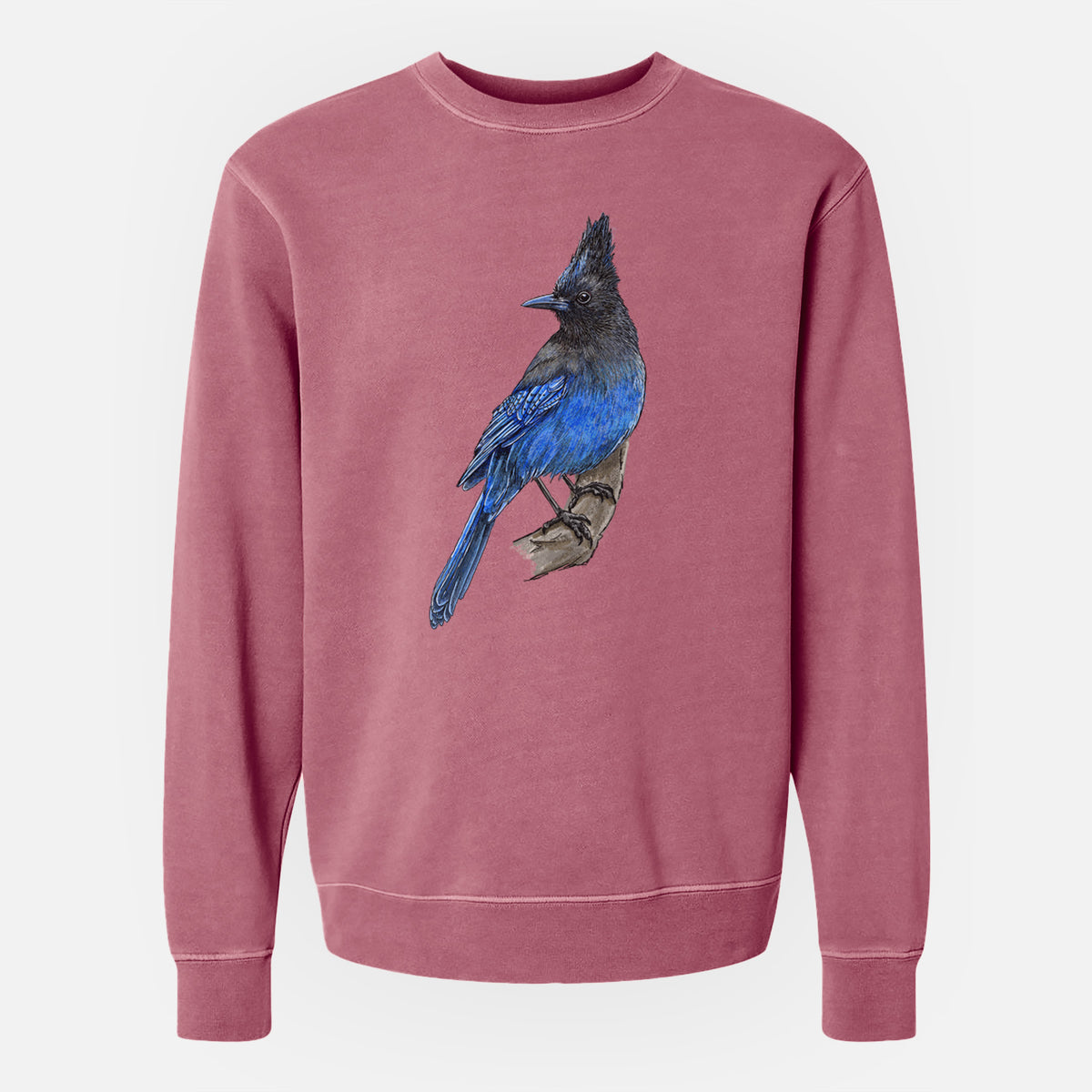 Vibrant Coastal Steller&#39;s Jay - Cyanocitta stelleri - Unisex Pigment Dyed Crew Sweatshirt