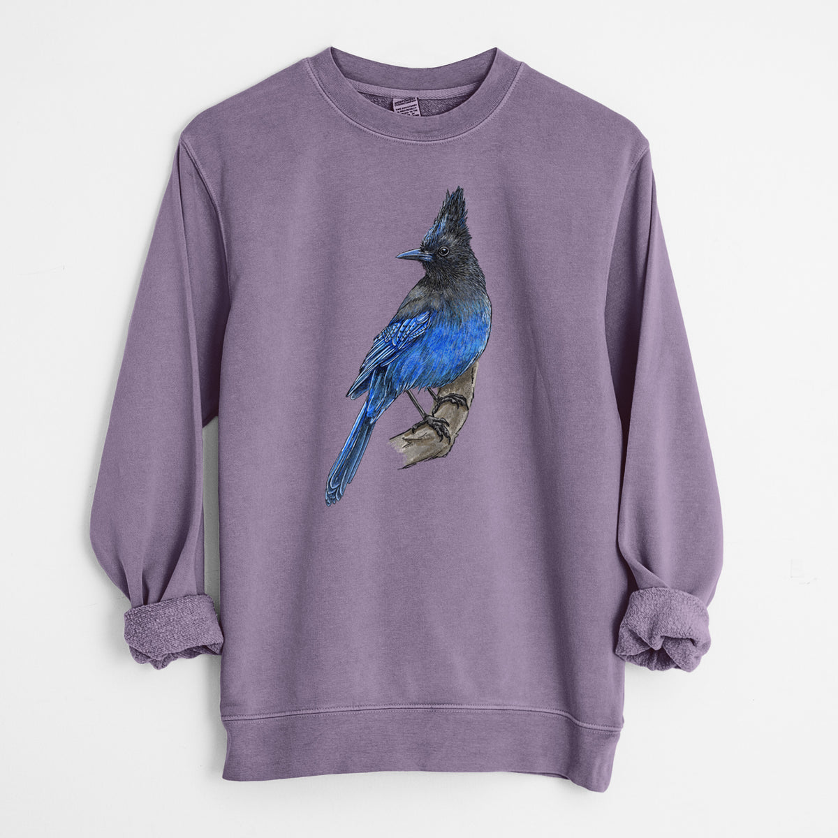 Vibrant Coastal Steller&#39;s Jay - Cyanocitta stelleri - Unisex Pigment Dyed Crew Sweatshirt