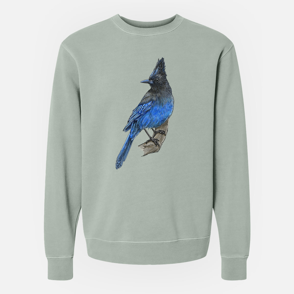 Vibrant Coastal Steller&#39;s Jay - Cyanocitta stelleri - Unisex Pigment Dyed Crew Sweatshirt