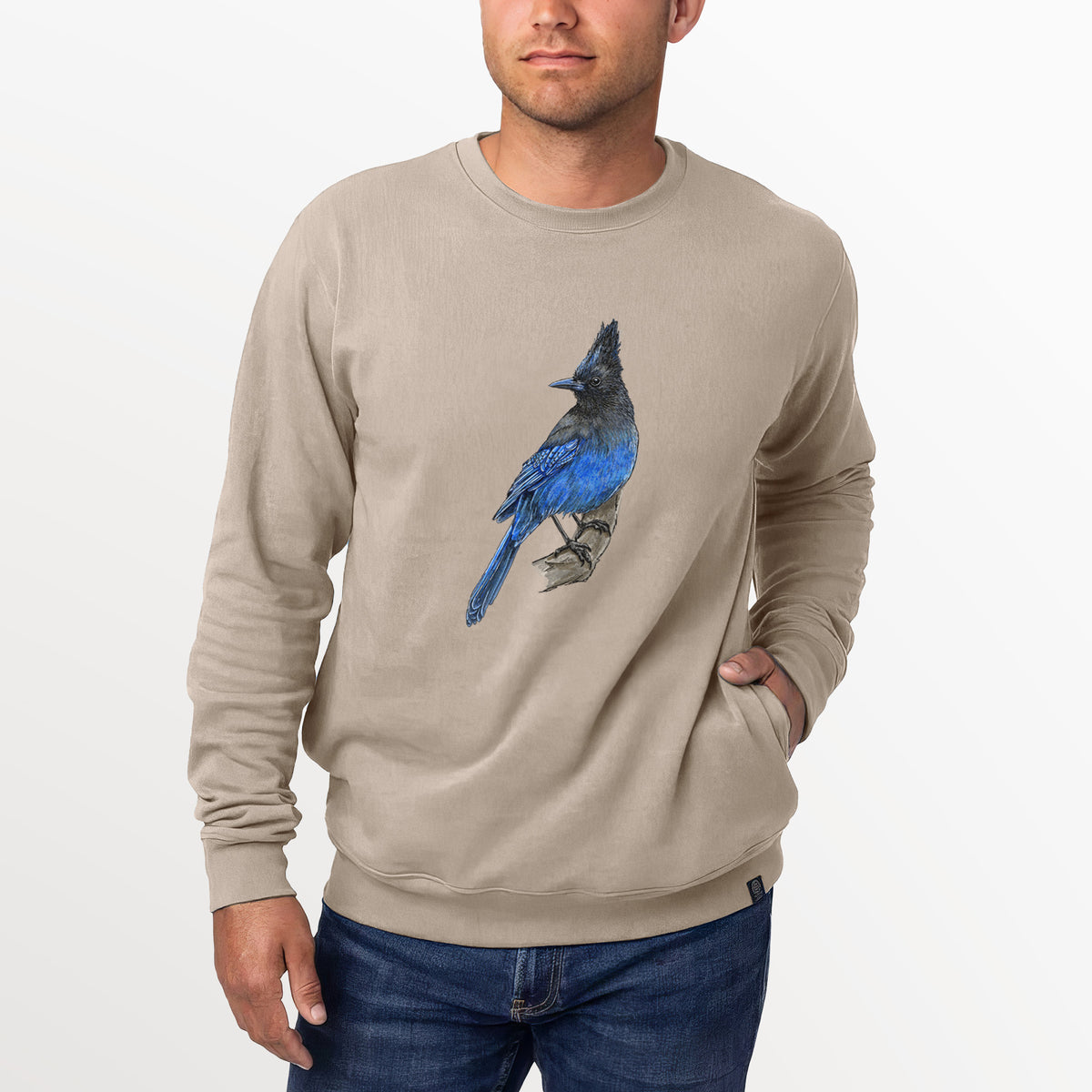 Vibrant Coastal Steller&#39;s Jay - Cyanocitta stelleri  - Unisex Reclaimed Crewneck Sweatshirt