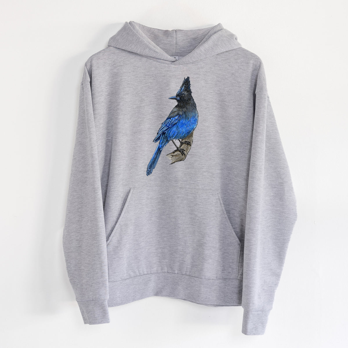 Vibrant Coastal Steller's Jay - Cyanocitta stelleri - Statement Midweight Hoodie in Heather Grey, hanging on a white wall, with a front kangaroo pocket and no drawcords.
