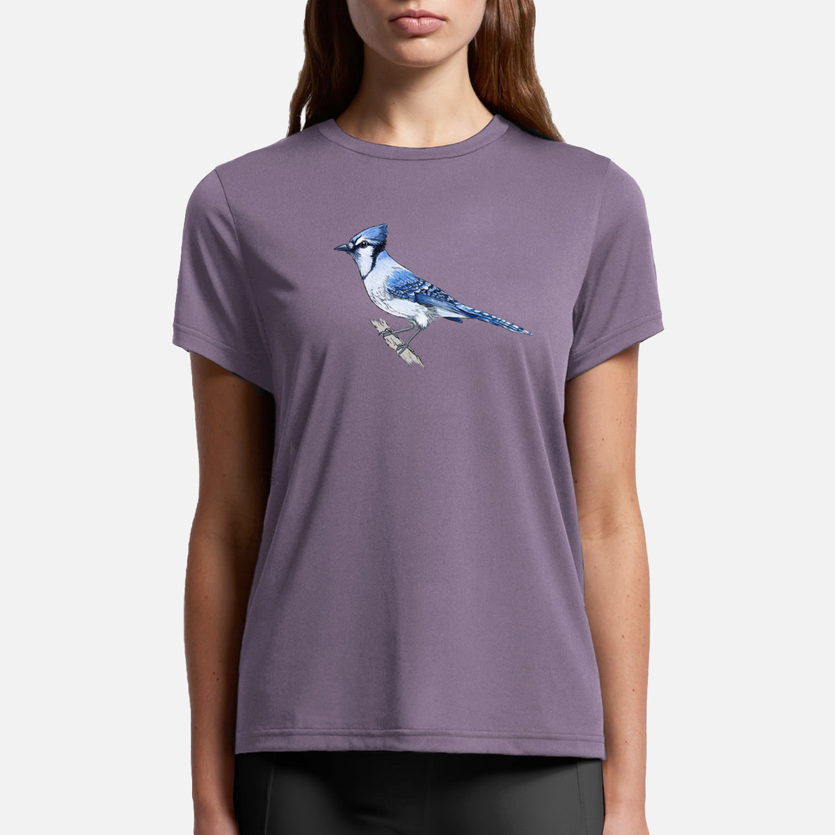 Vibrant Blue Jay - Cyanocitta cristata - Womens Everyday Maple Tee