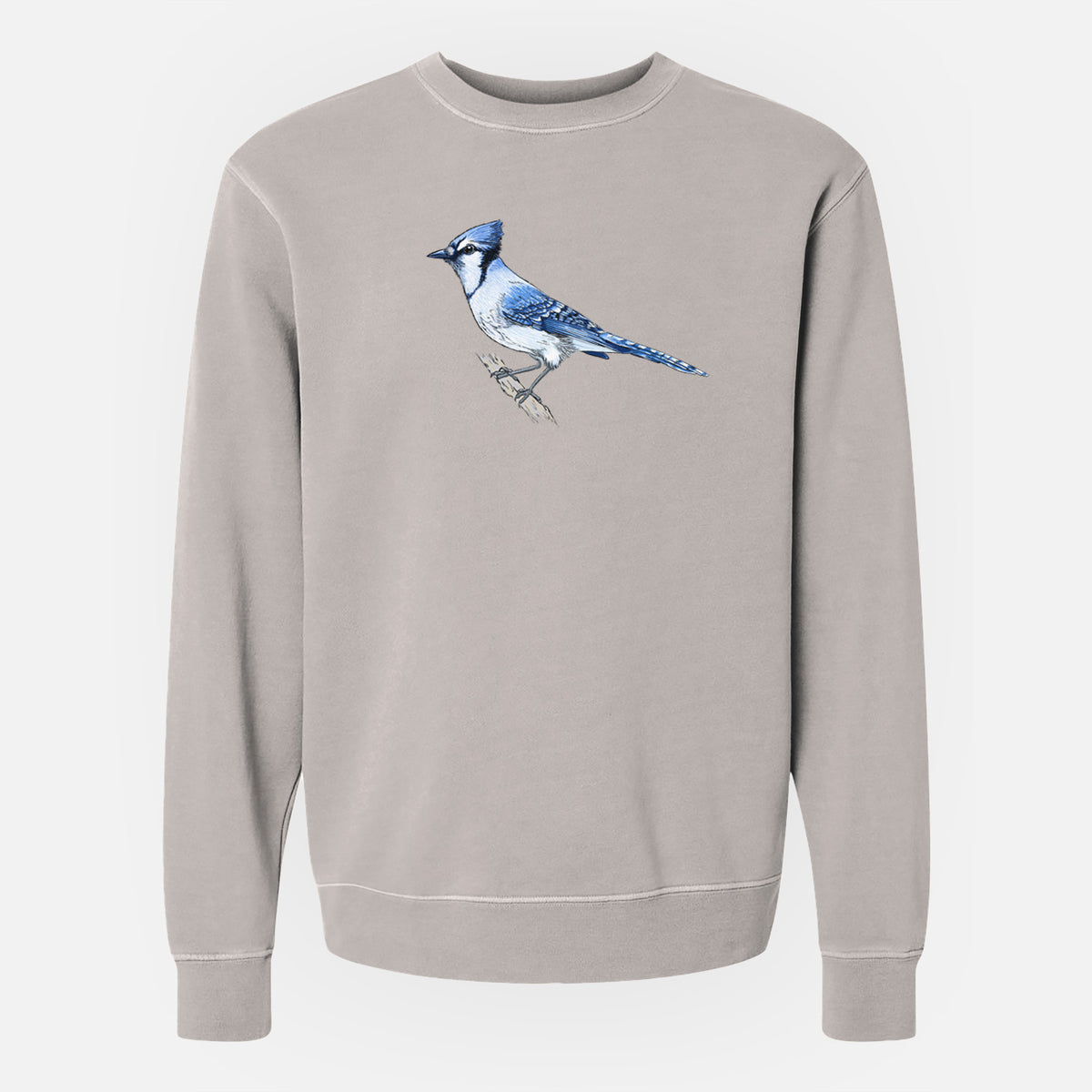 Vibrant Blue Jay - Cyanocitta cristata - Unisex Pigment Dyed Crew Sweatshirt