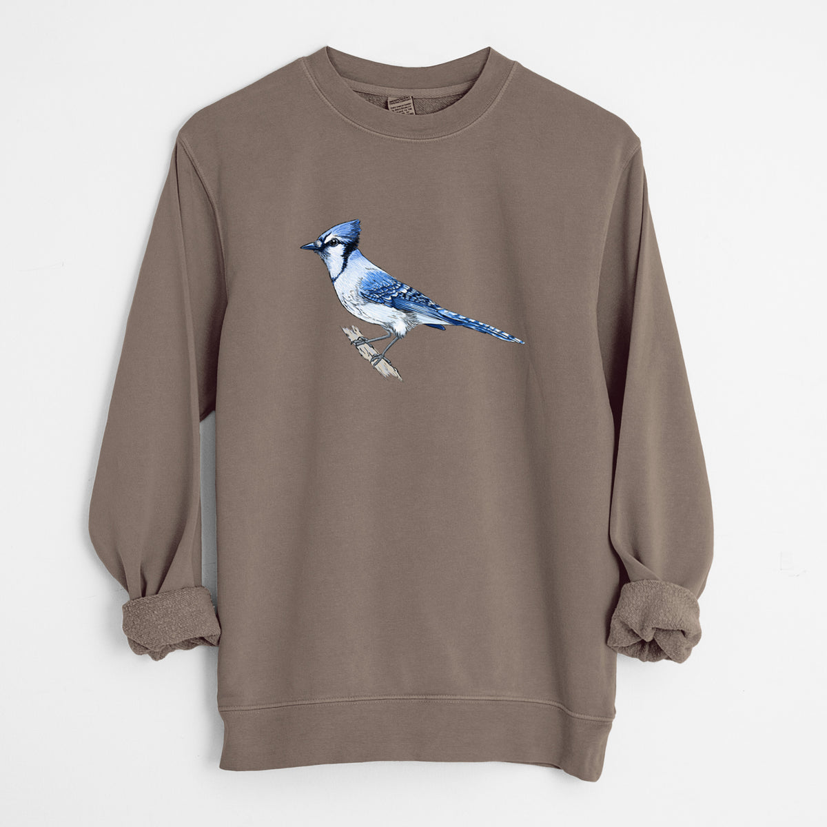 Vibrant Blue Jay - Cyanocitta cristata - Unisex Pigment Dyed Crew Sweatshirt in Espresso