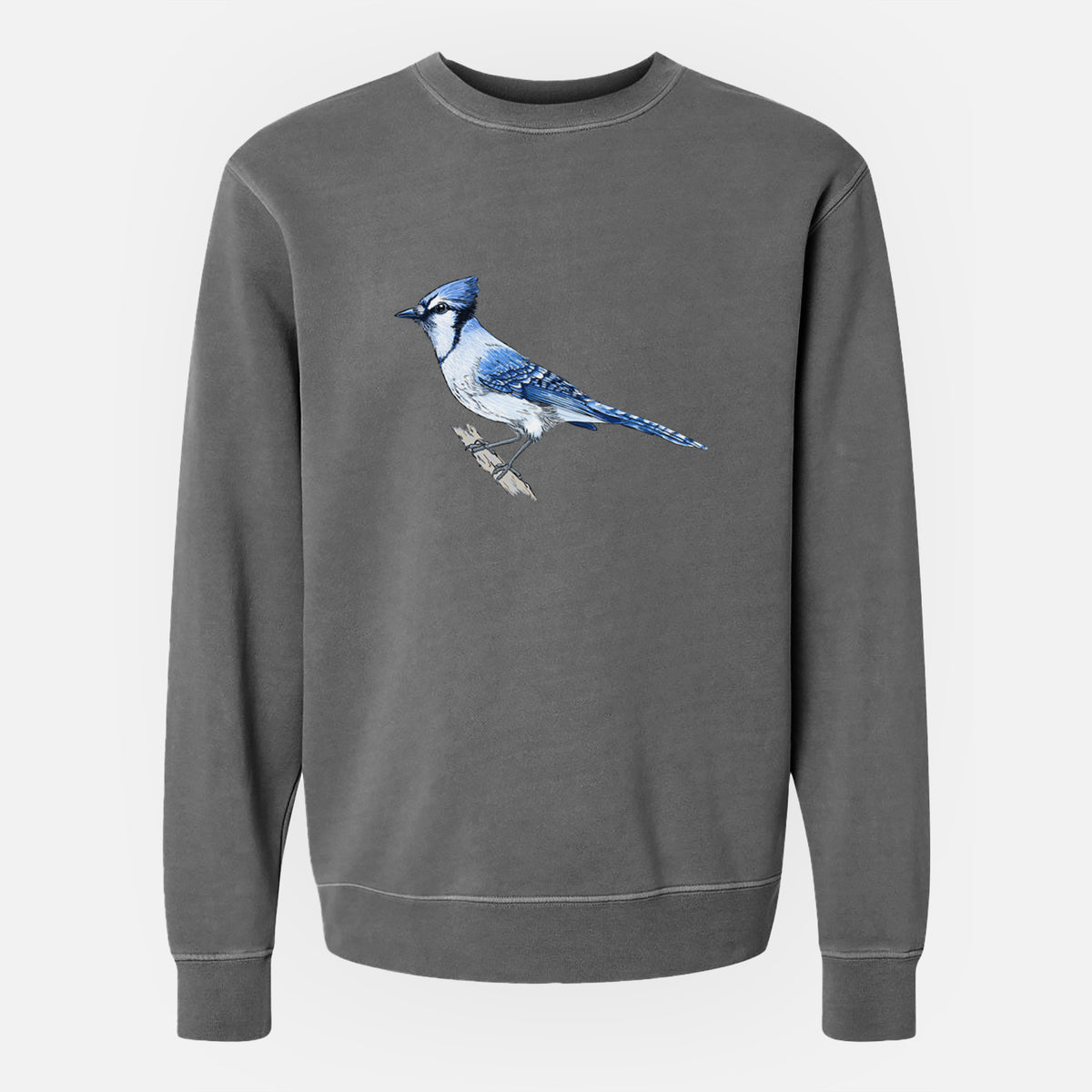 Vibrant Blue Jay - Cyanocitta cristata - Unisex Pigment Dyed Crew Sweatshirt