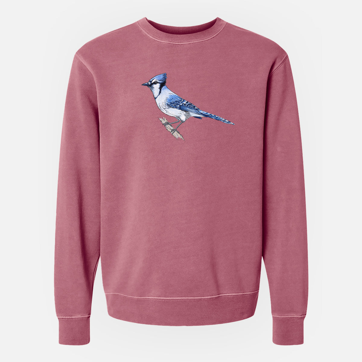 Vibrant Blue Jay - Cyanocitta cristata - Unisex Pigment Dyed Crew Sweatshirt