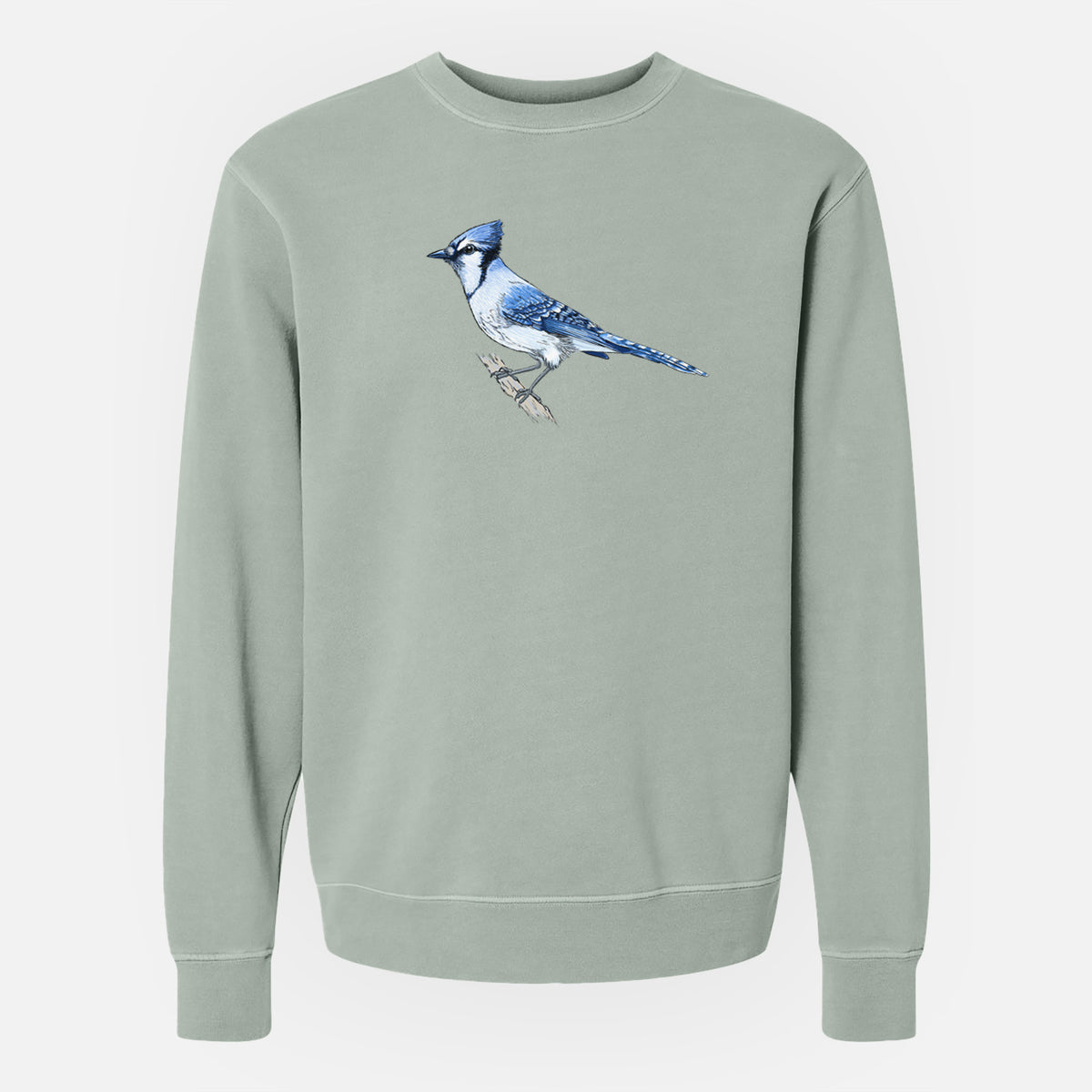 Vibrant Blue Jay - Cyanocitta cristata - Unisex Pigment Dyed Crew Sweatshirt