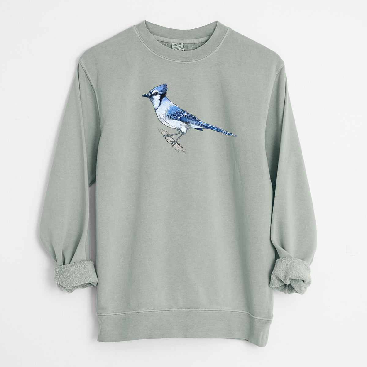 Vibrant Blue Jay - Cyanocitta cristata - Unisex Pigment Dyed Crew Sweatshirt