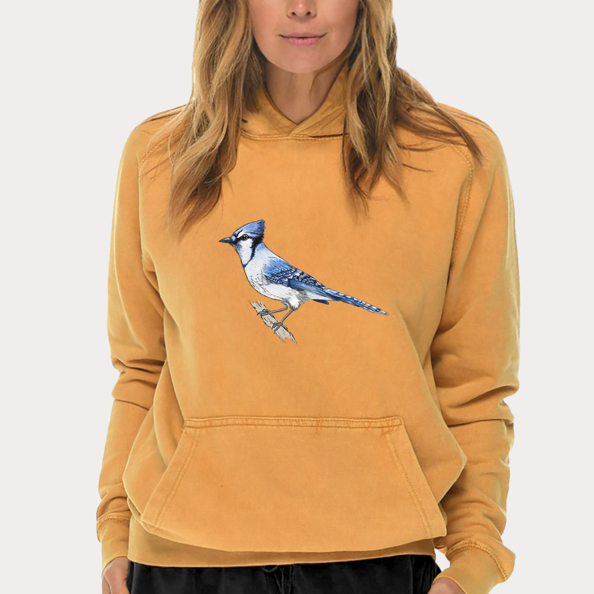 Vibrant Blue Jay - Cyanocitta cristata  - Mid-Weight Unisex Vintage 100% Cotton Hoodie