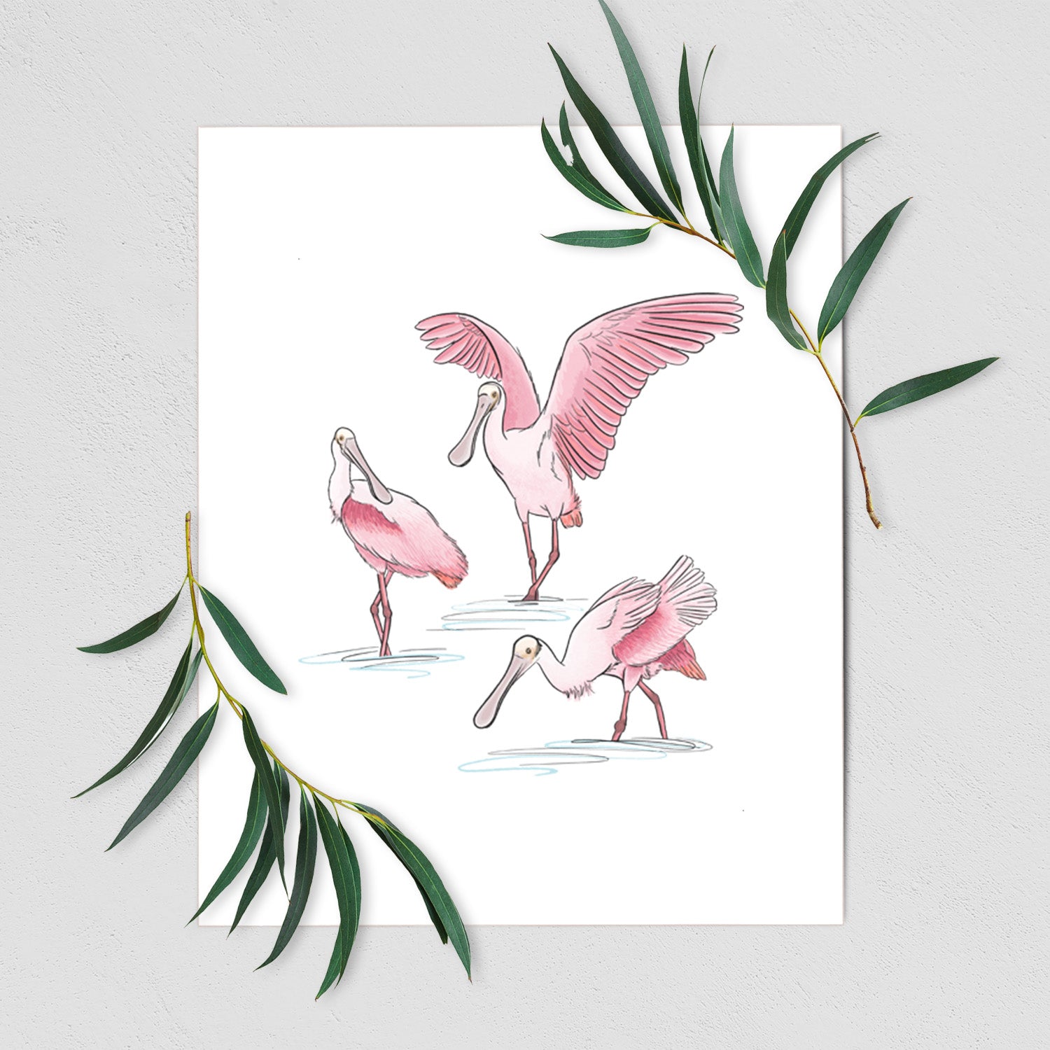 Roseate Spoonbill Trio - Platalea ajaja - Fine Art Print