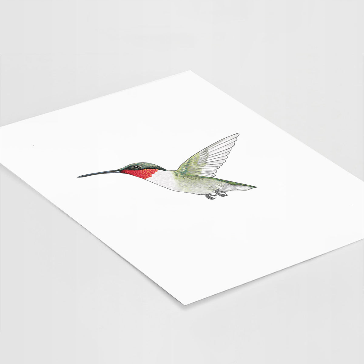 Vibrant Ruby-throated Hummingbird - Archilochus colubris - Fine Art Print