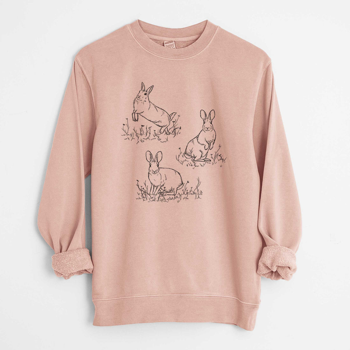 Eastern Cottontail Rabbit Trio - Sylvilagus floridanus - Unisex Pigment Dyed Crew Sweatshirt