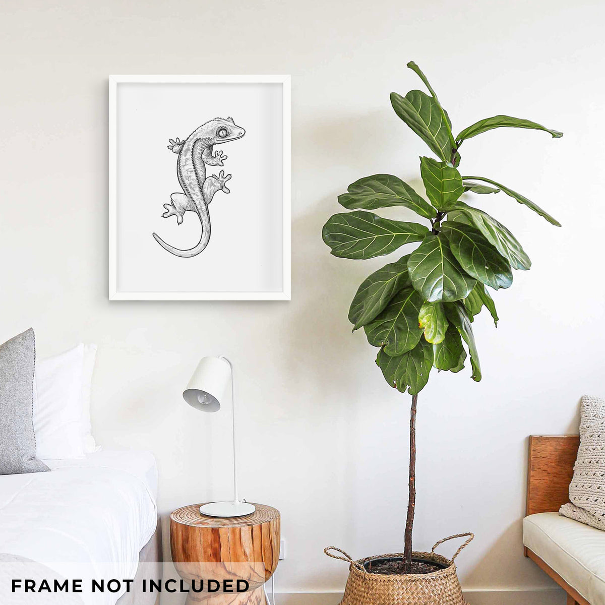Crested Gecko - Correlophus ciliatus - Fine Art Print