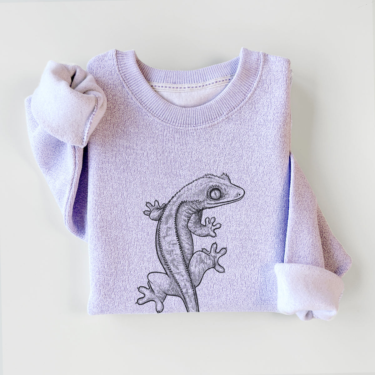 Crested Gecko - Correlophus ciliatus - Knit Sweatshirt