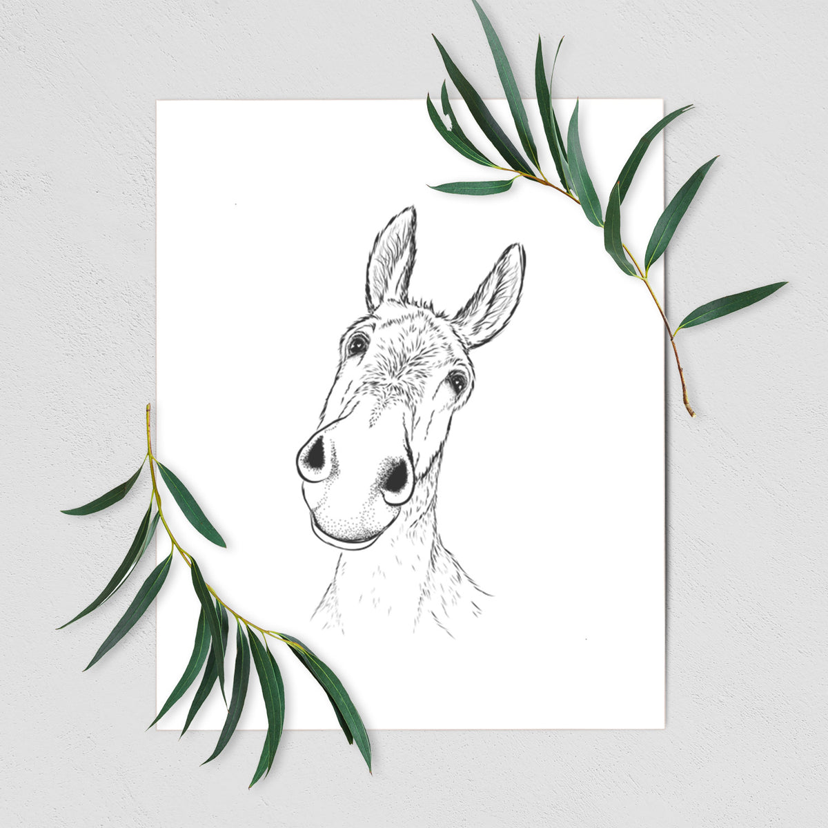 Curious Donkey - Fine Art Print