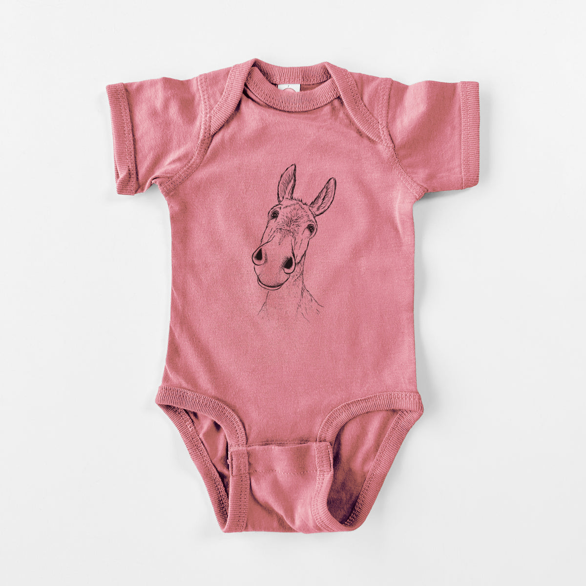 Curious Donkey - Baby Fine Jersey Bodysuit