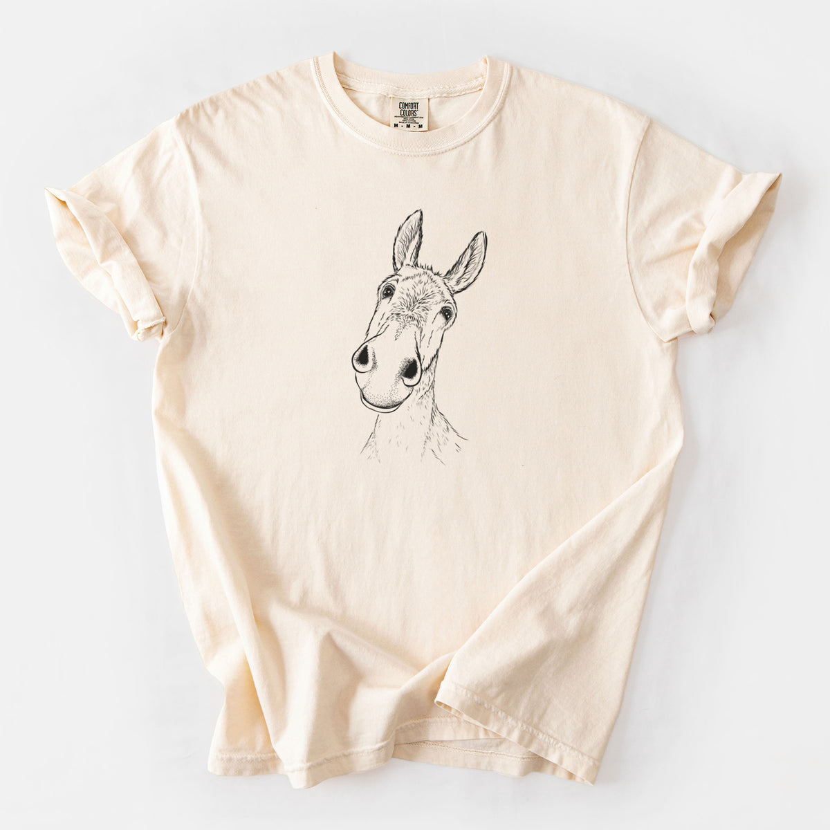 Curious Donkey - Unisex Comfort Colors Garment-Dyed Heavyweight T-shirt