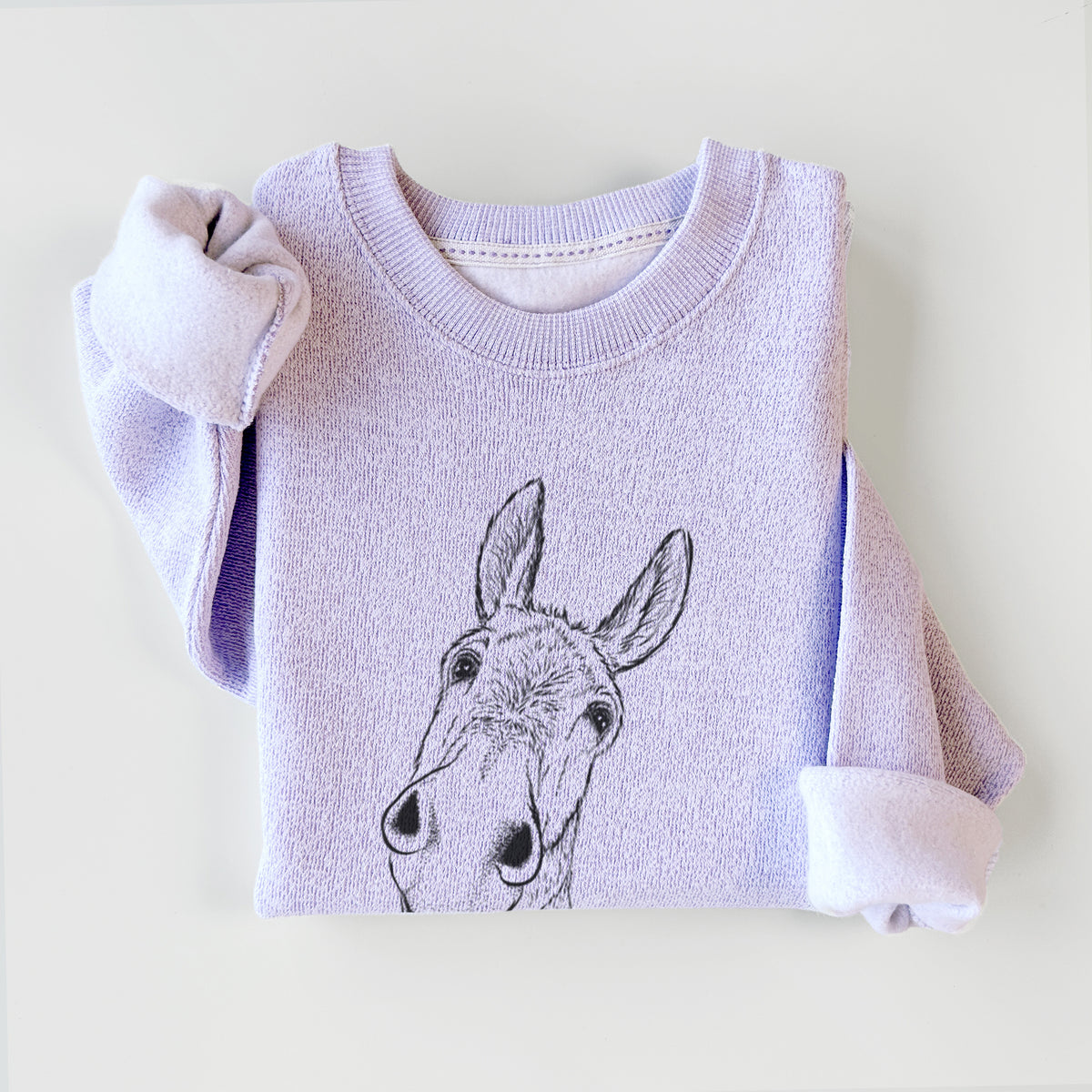 Curious Donkey - Knit Sweatshirt