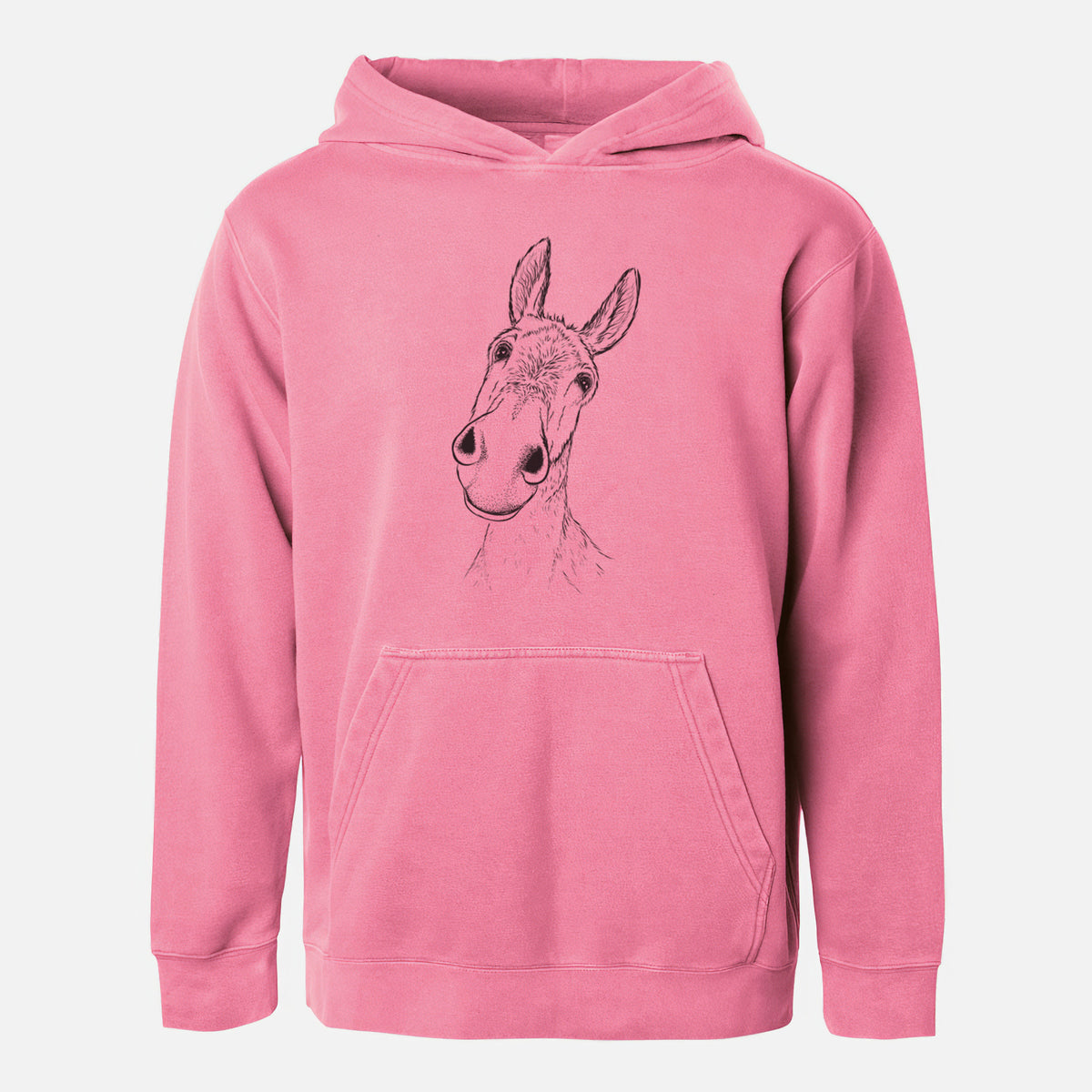 Curious Donkey - Youth Pigment Dyed Hoodie