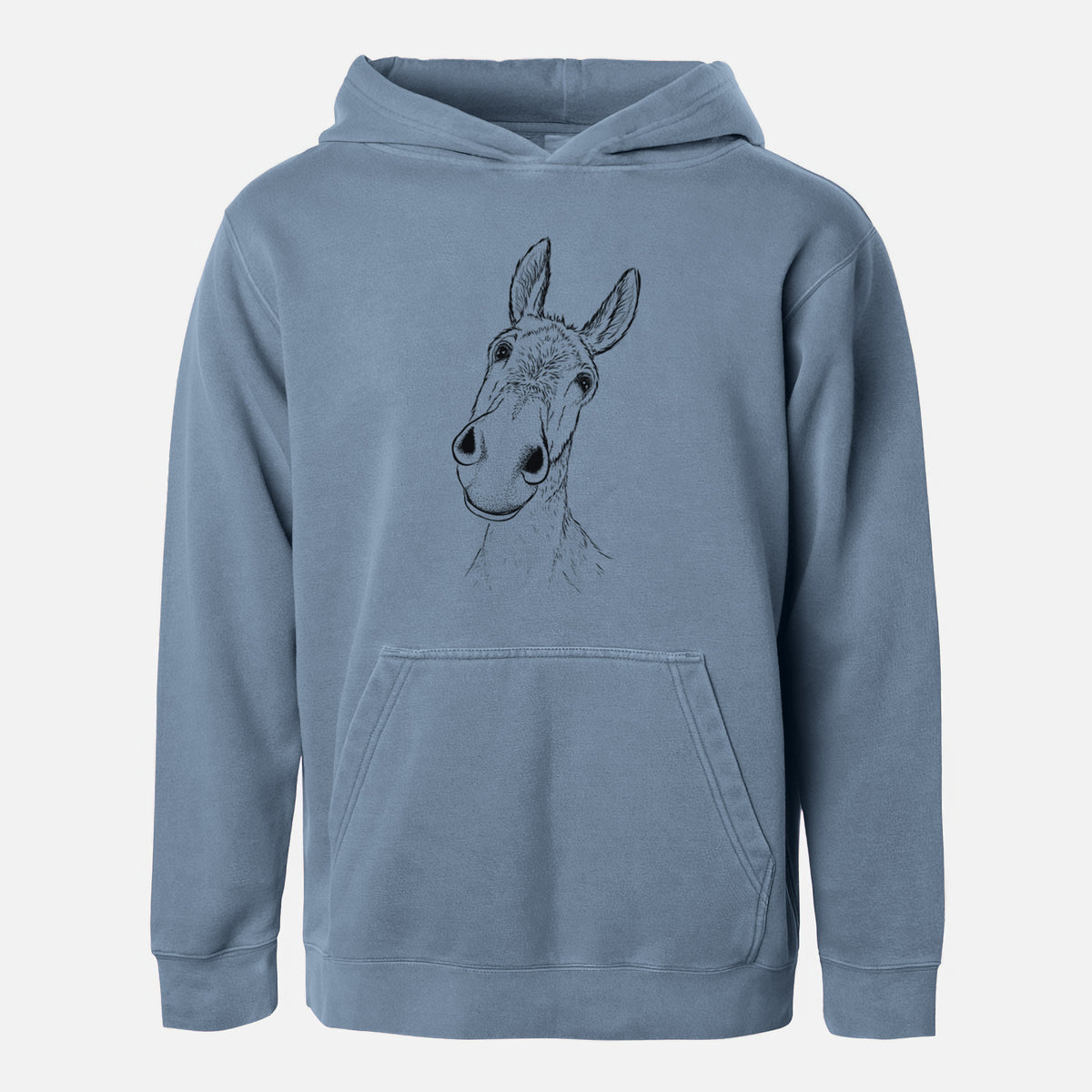 Curious Donkey - Youth Pigment Dyed Hoodie