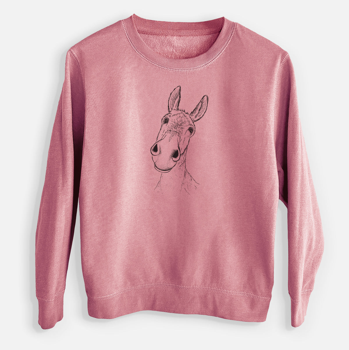 Curious Donkey - Youth Lightweight Crewneck Sweatshirt