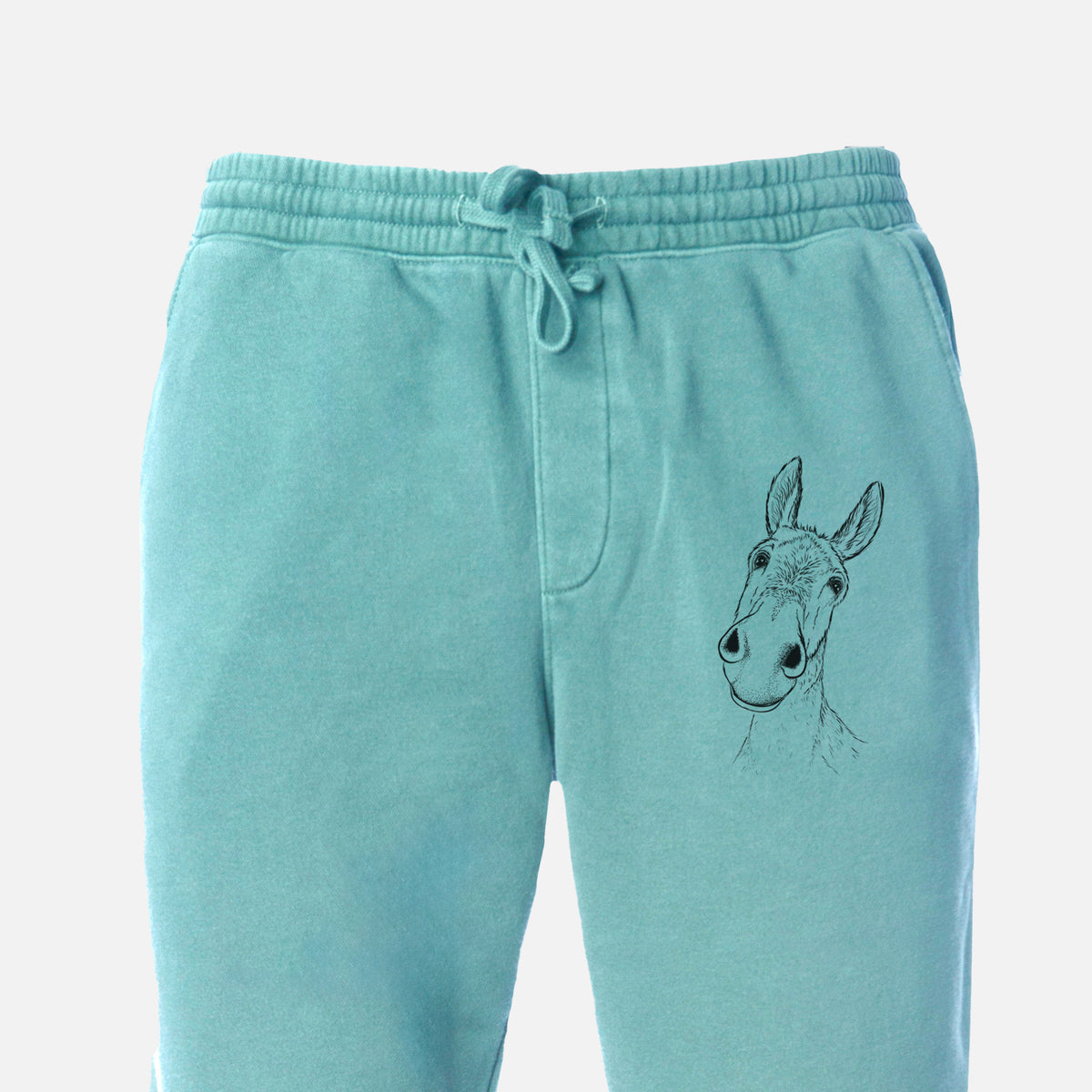 Curious Donkey - Unisex Pigment Dyed Sweatpants