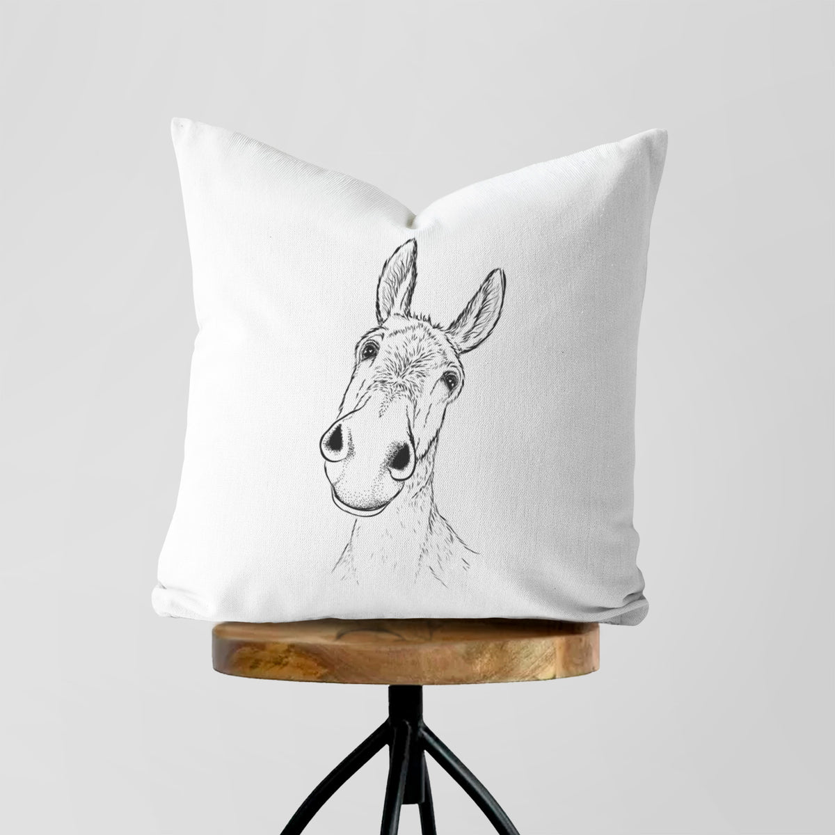 Curious Donkey - Throw Pillow Cover