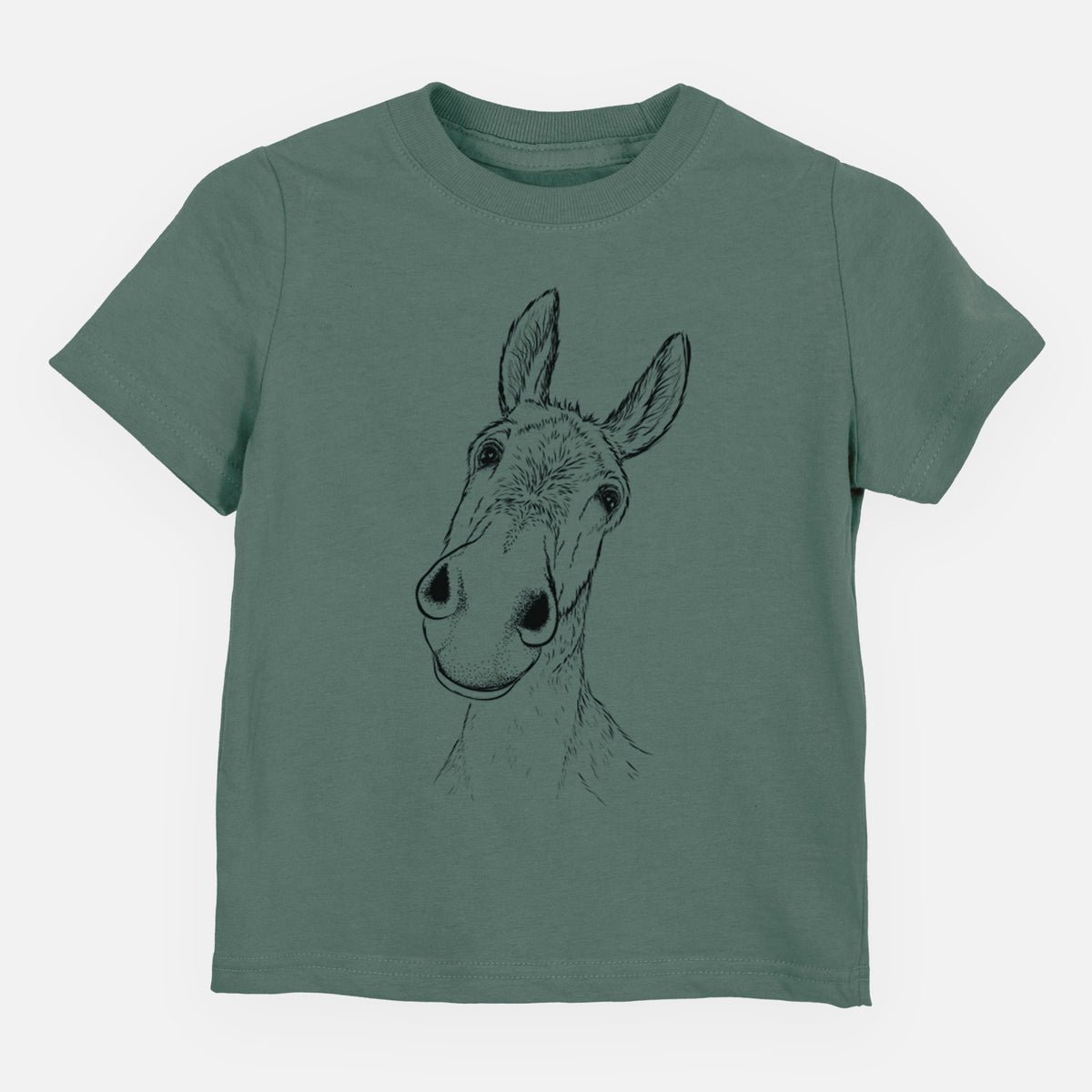 Curious Donkey - Toddler/Youth Shirt
