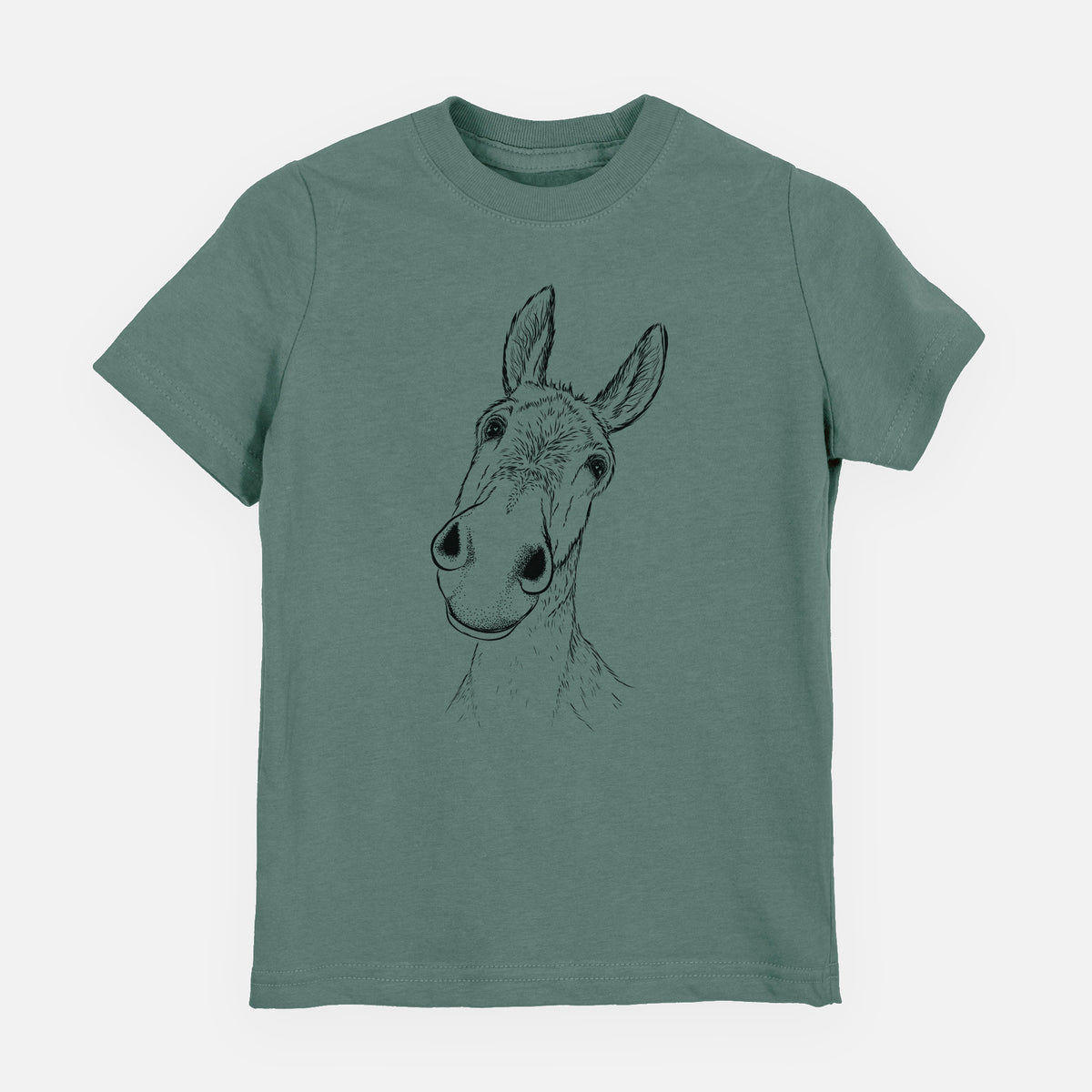 Curious Donkey - Youth Shirt