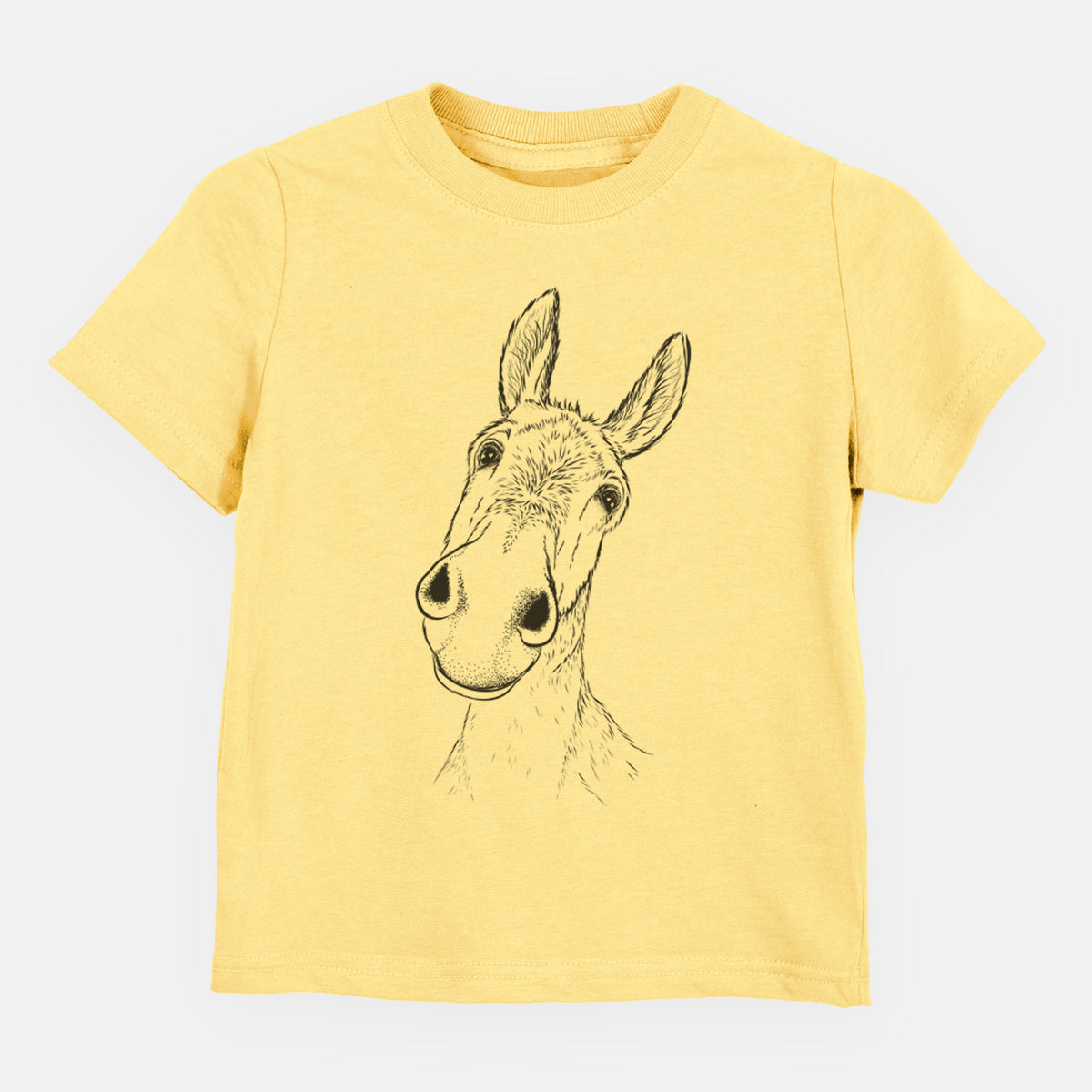Curious Donkey - Toddler/Youth Shirt