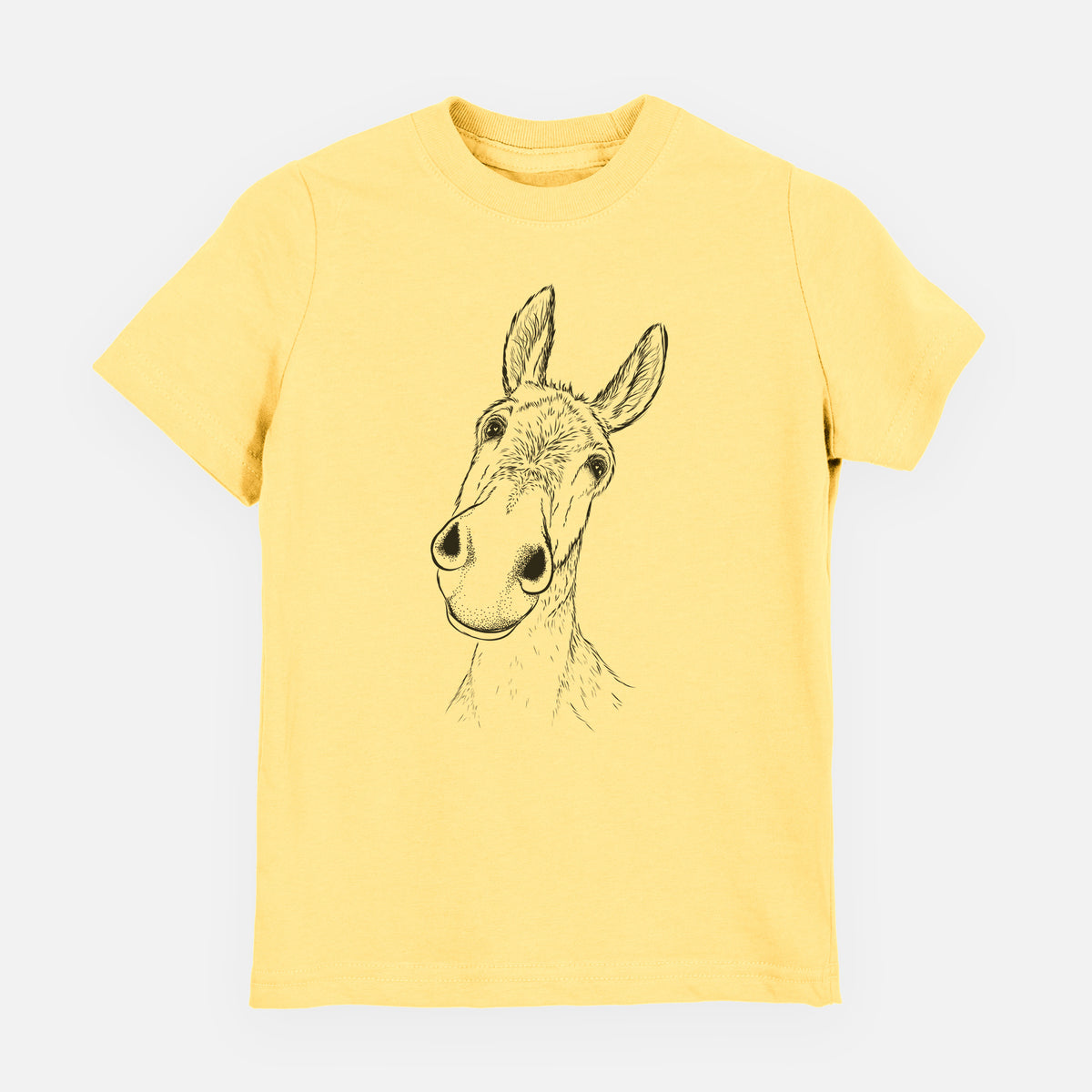 Curious Donkey - Youth Shirt