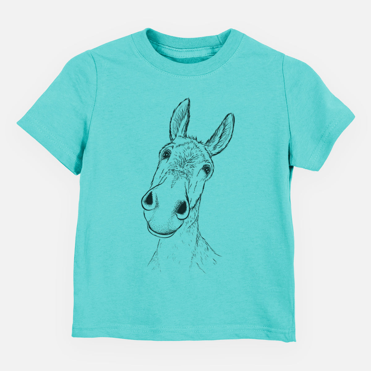 Curious Donkey - Toddler/Youth Shirt