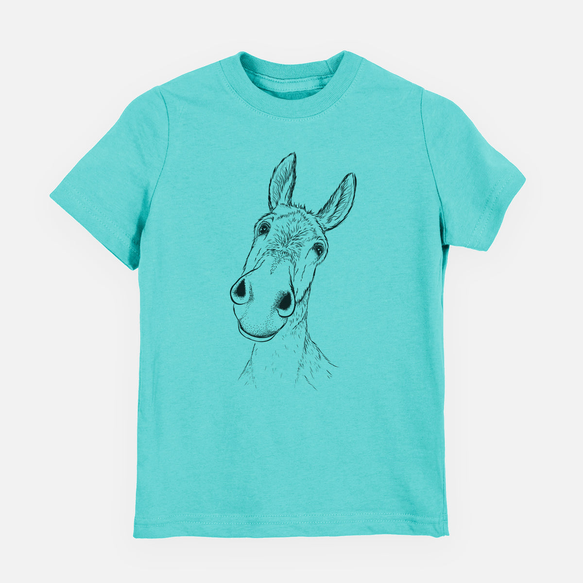 Curious Donkey - Toddler/Youth Shirt